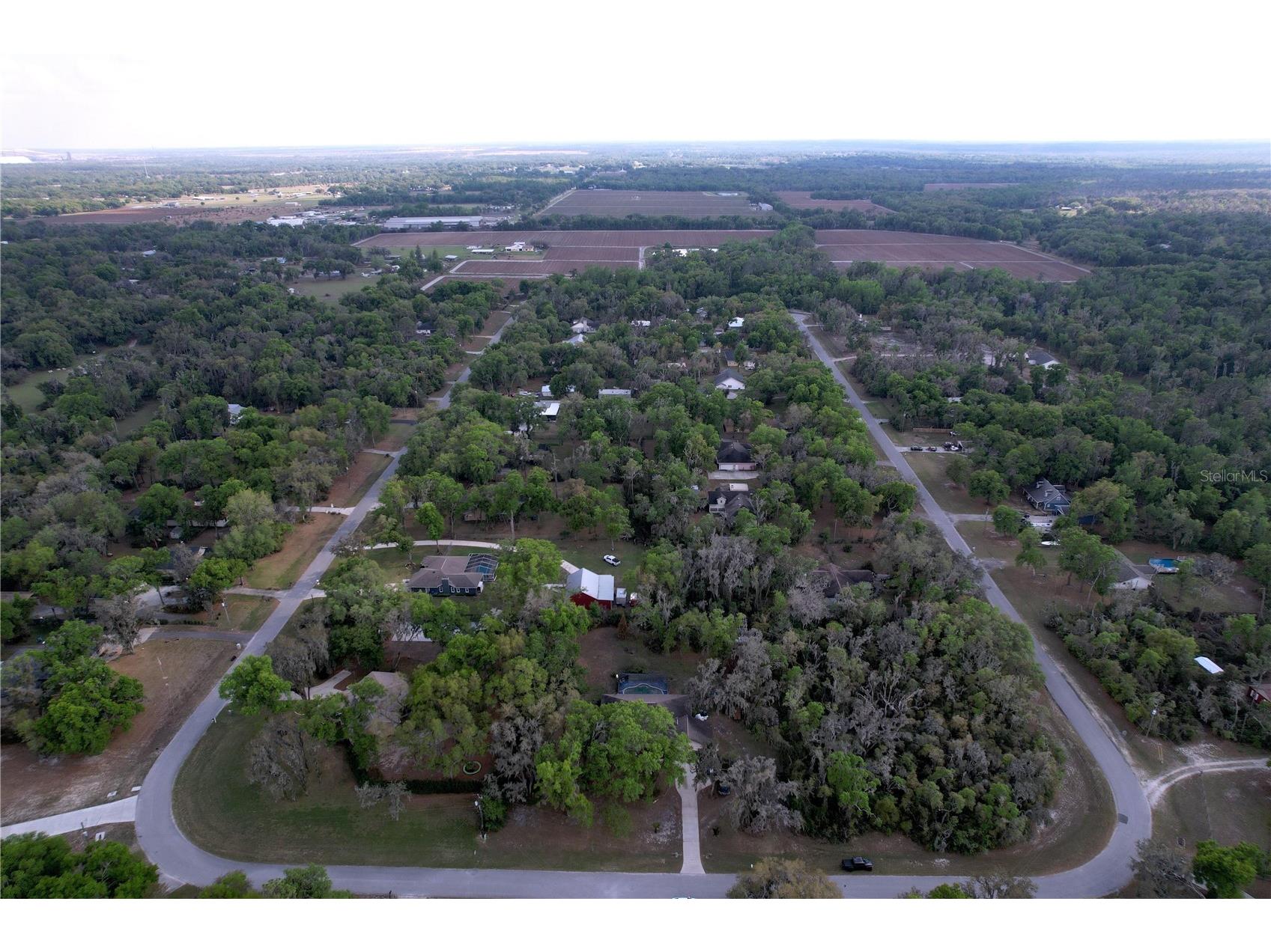 8402 Southwood Pines Street Lithia FL 33547 B4902229 image26