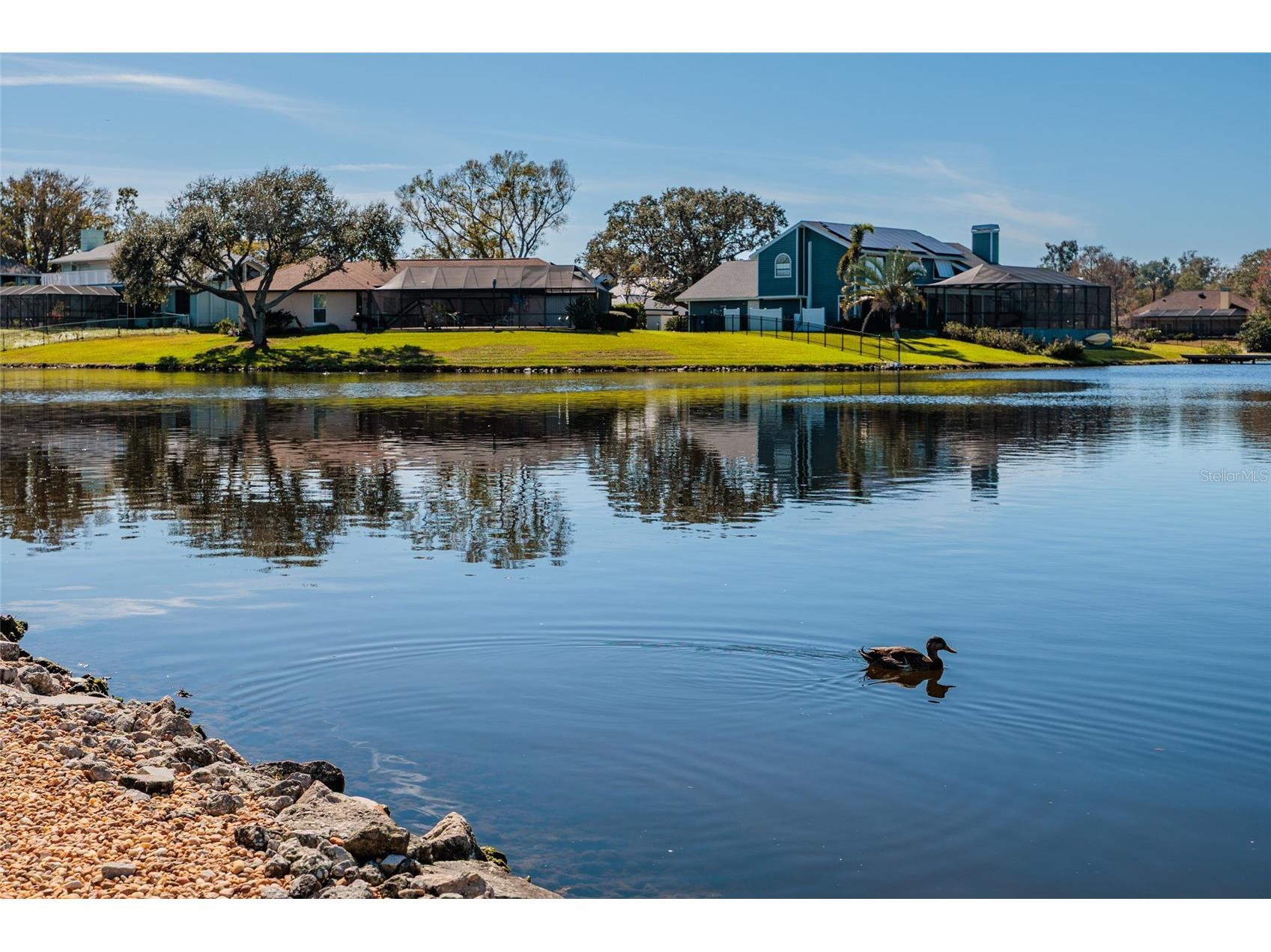8402 Tallahassee Drive NE Saint Petersburg FL 33702 TB8468498 image77