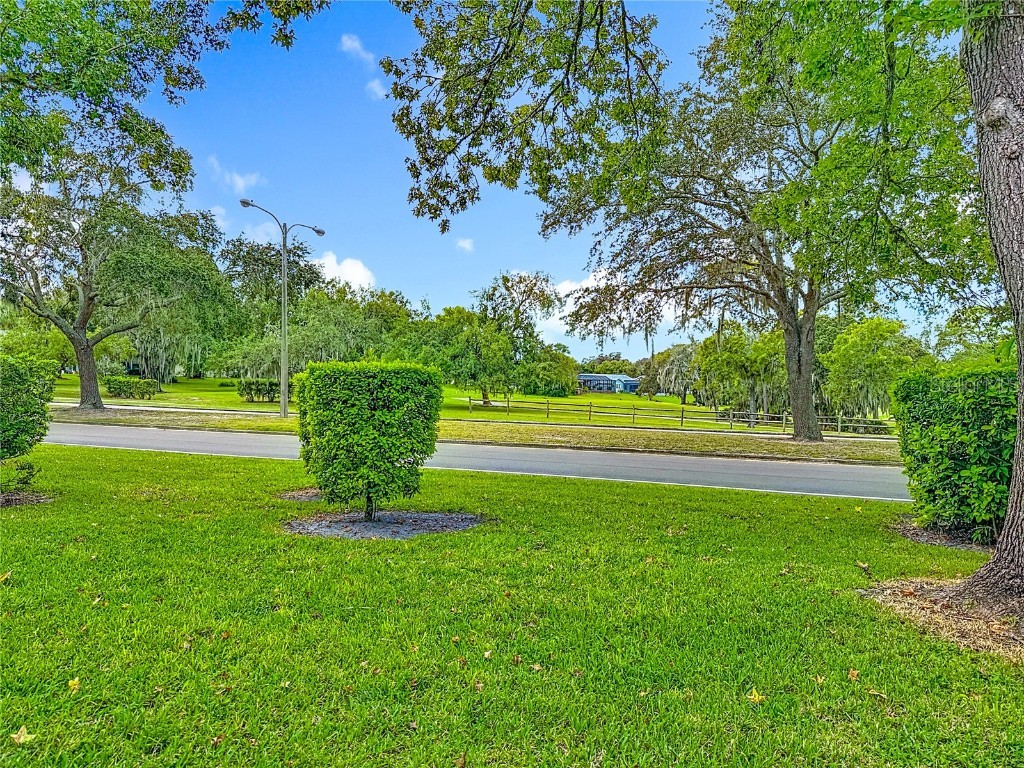 8403 Bunker Lane #A Hudson FL 34667 TB8430333 image52