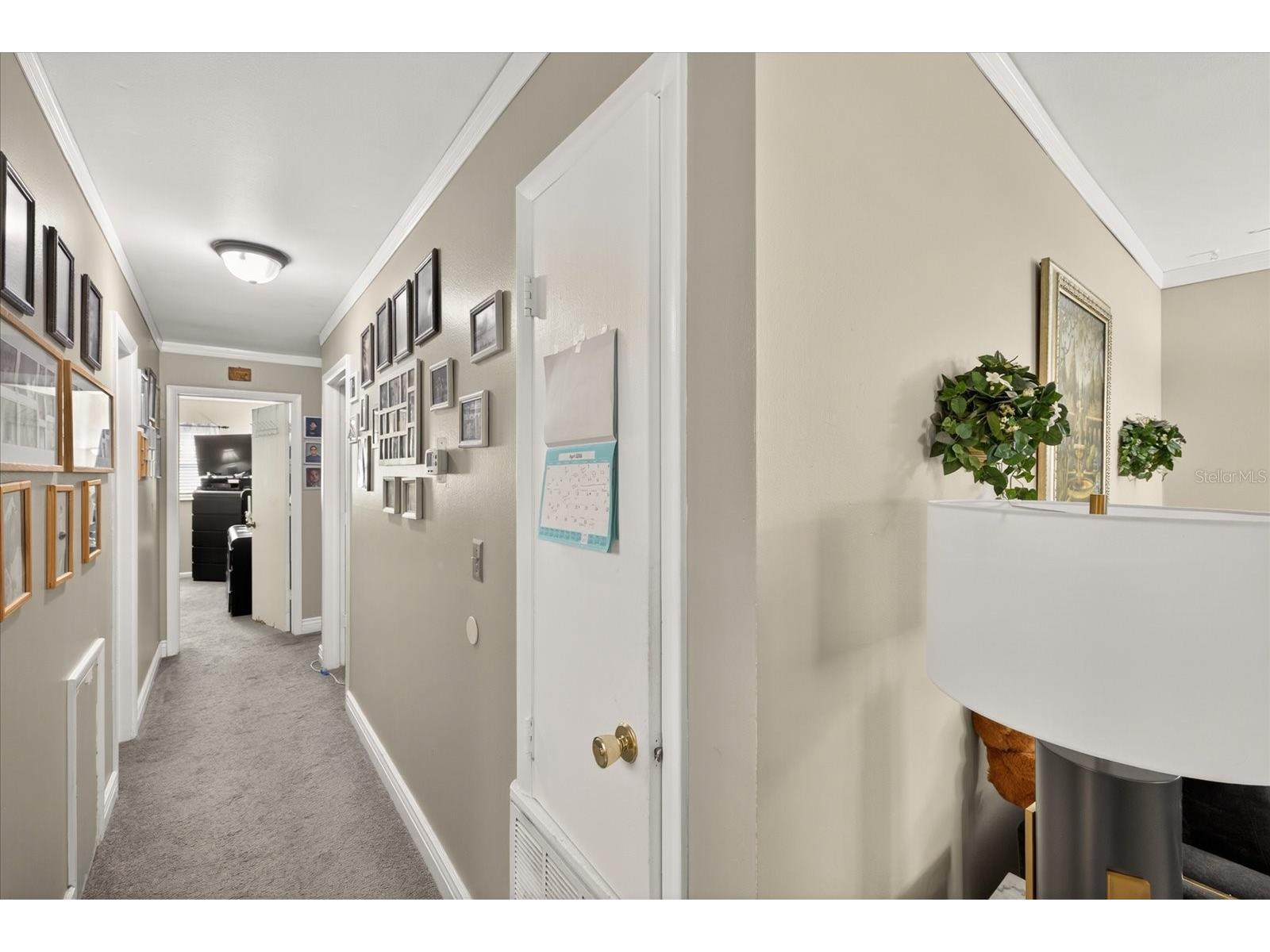 8404 Sandstone Court Tampa FL 33615 TB8498655 image14