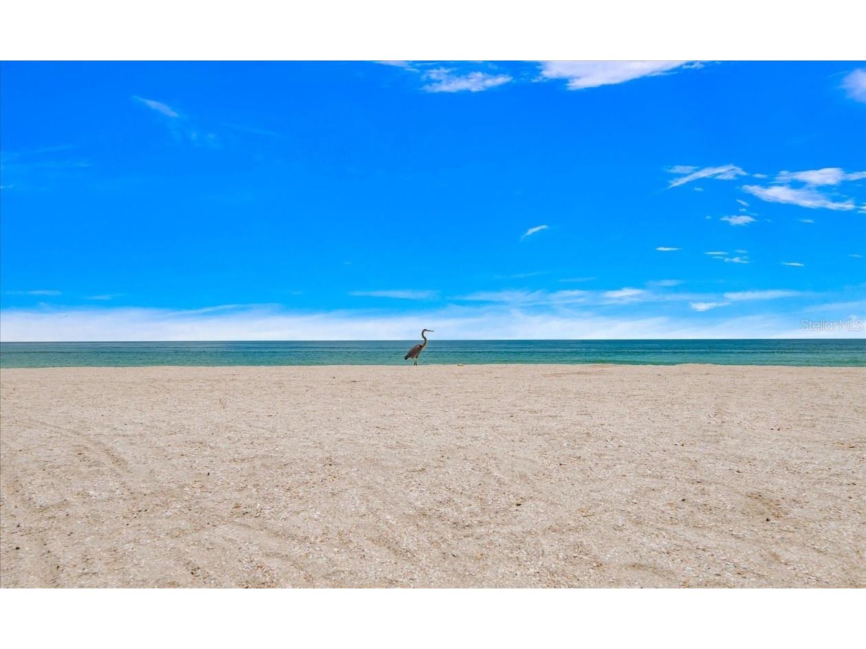 8405 Bayshore Drive Treasure Island FL 33706 - BLIND PASS WATERWAY TB8433920 image20