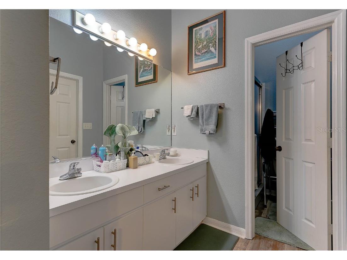 8405 Terrace Meadows Court #8405 Temple Terrace FL 33637 TB8421835 image19