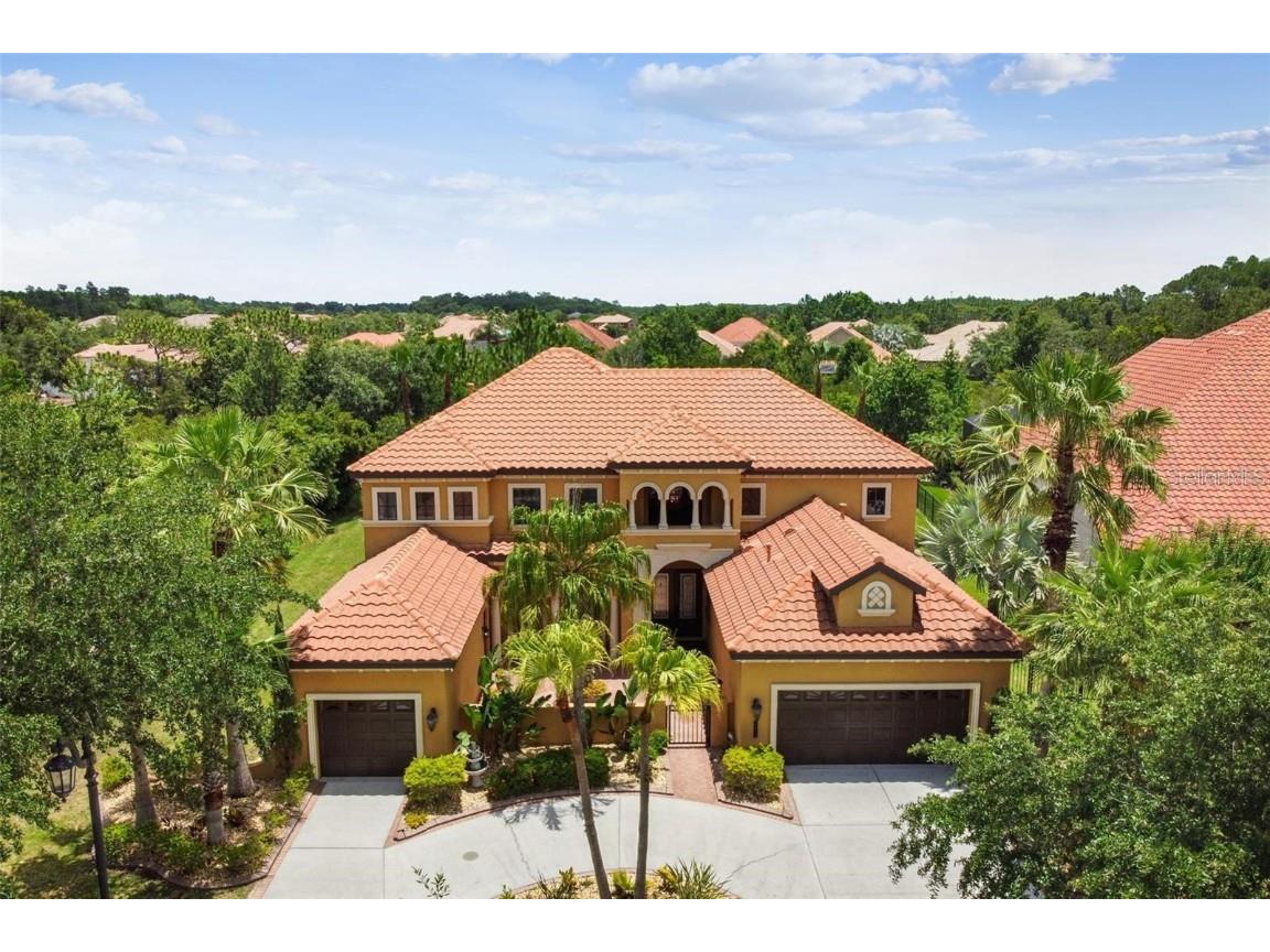 8406 Dunham Station Drive Tampa FL 33647 U8215945 image1