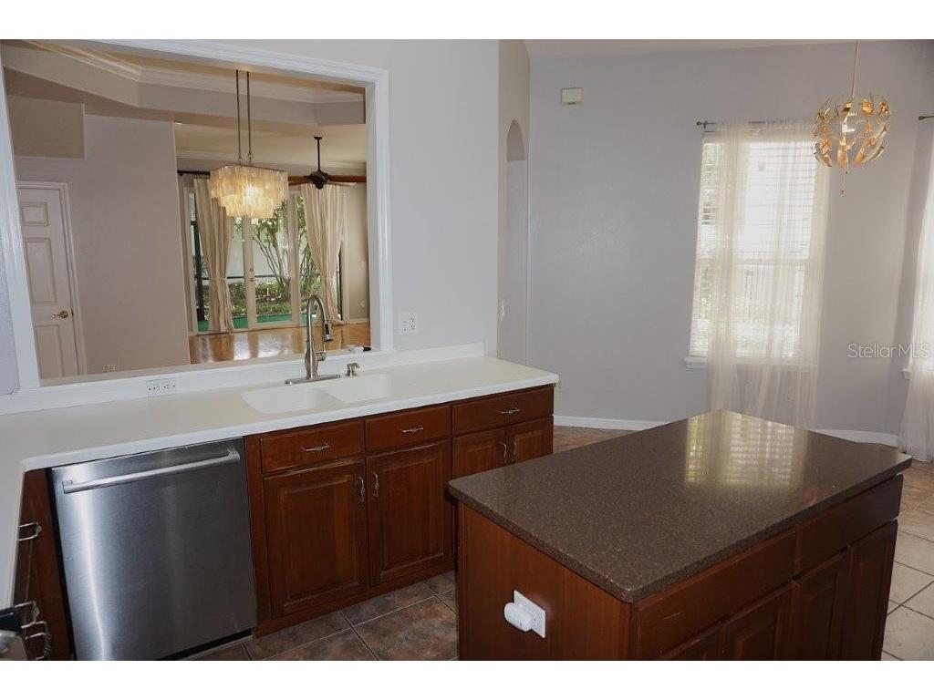 8406 Frescada Court Orlando FL 32836 - POND O6418260 image7