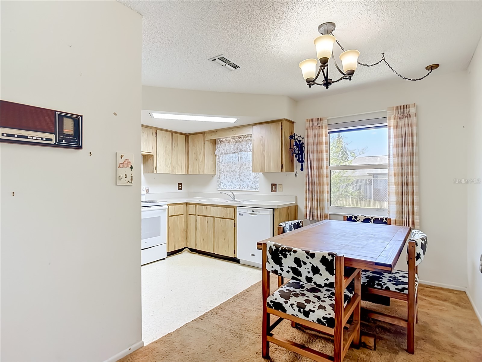 8406 Luray Drive Port Richey FL 34668 W7885598 image13