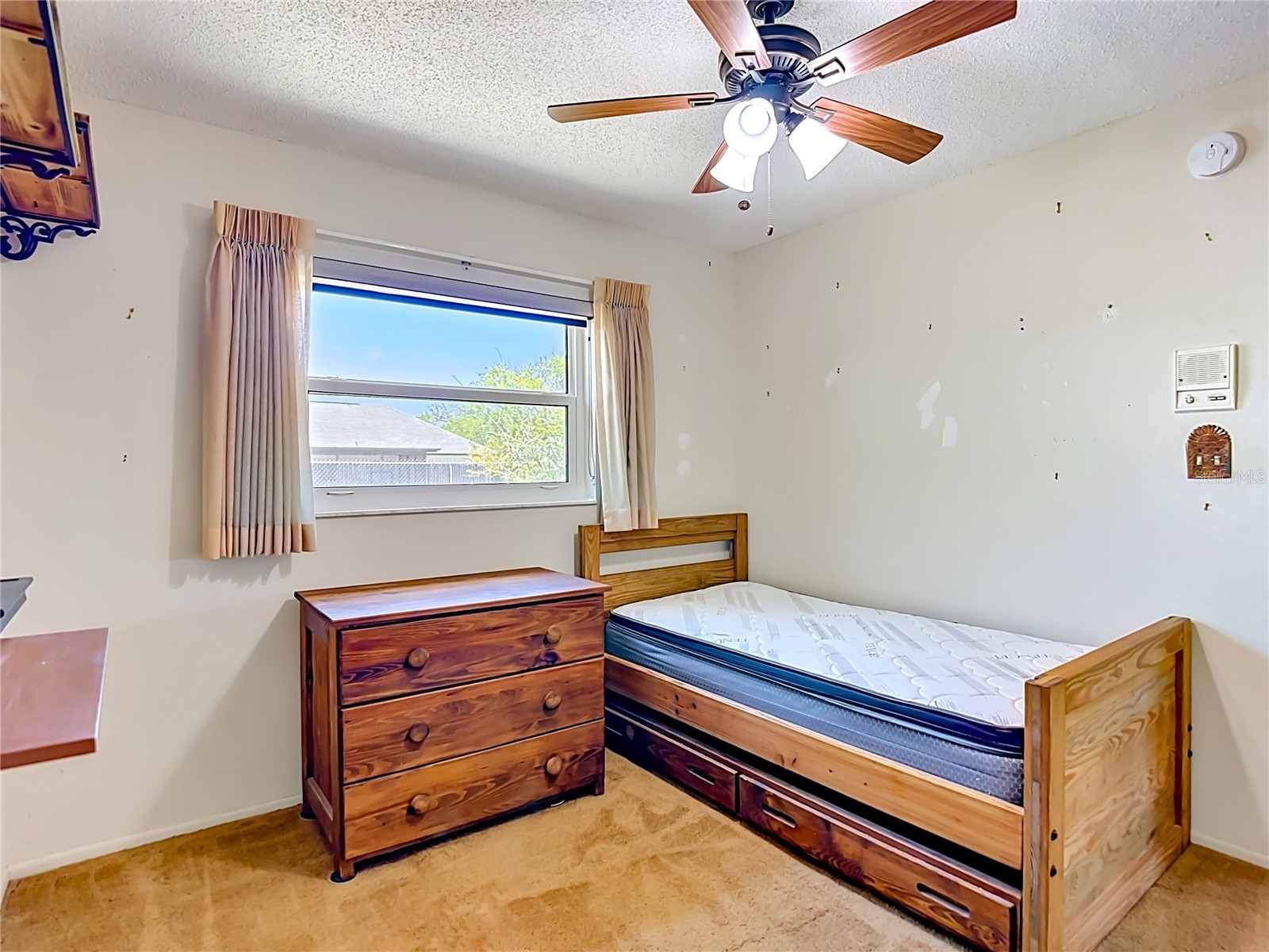 8406 Luray Drive Port Richey FL 34668 W7885598 image19