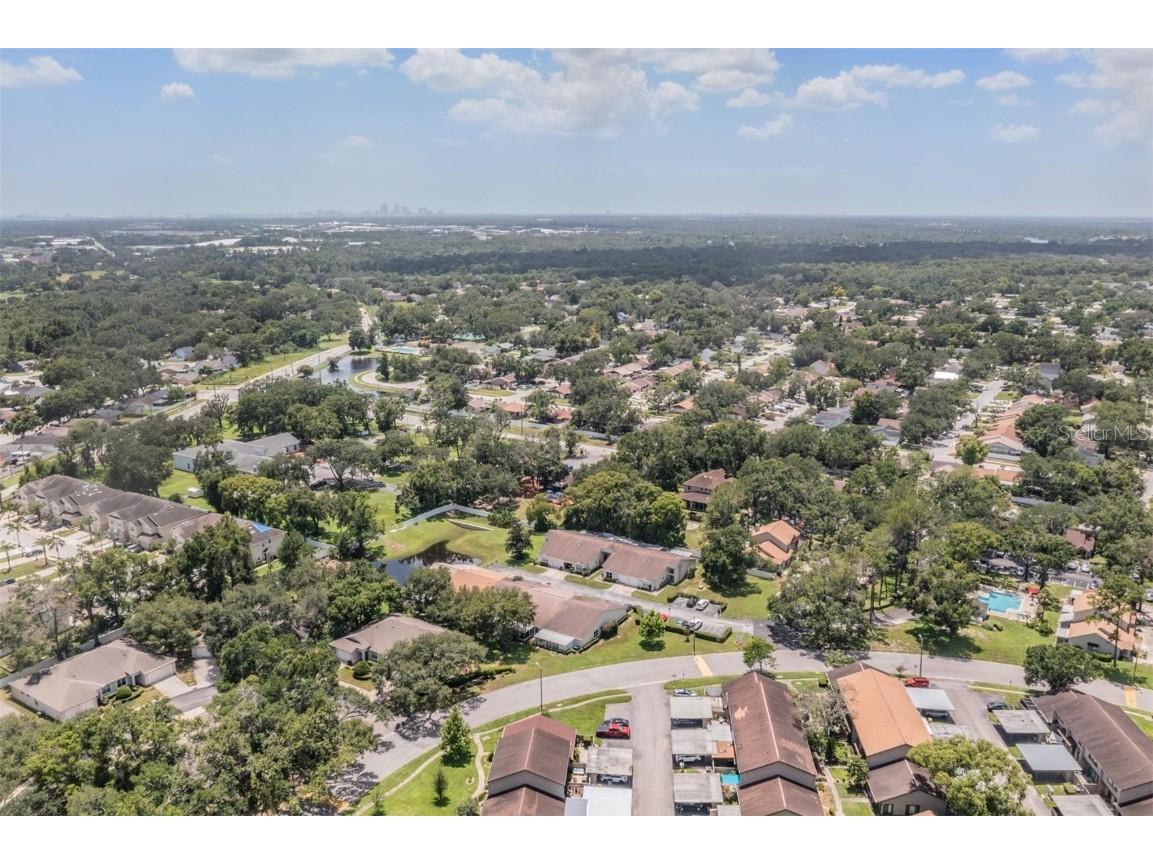 8406 Terrace Meadows Court Temple Terrace FL 33637 TB8411359 image34