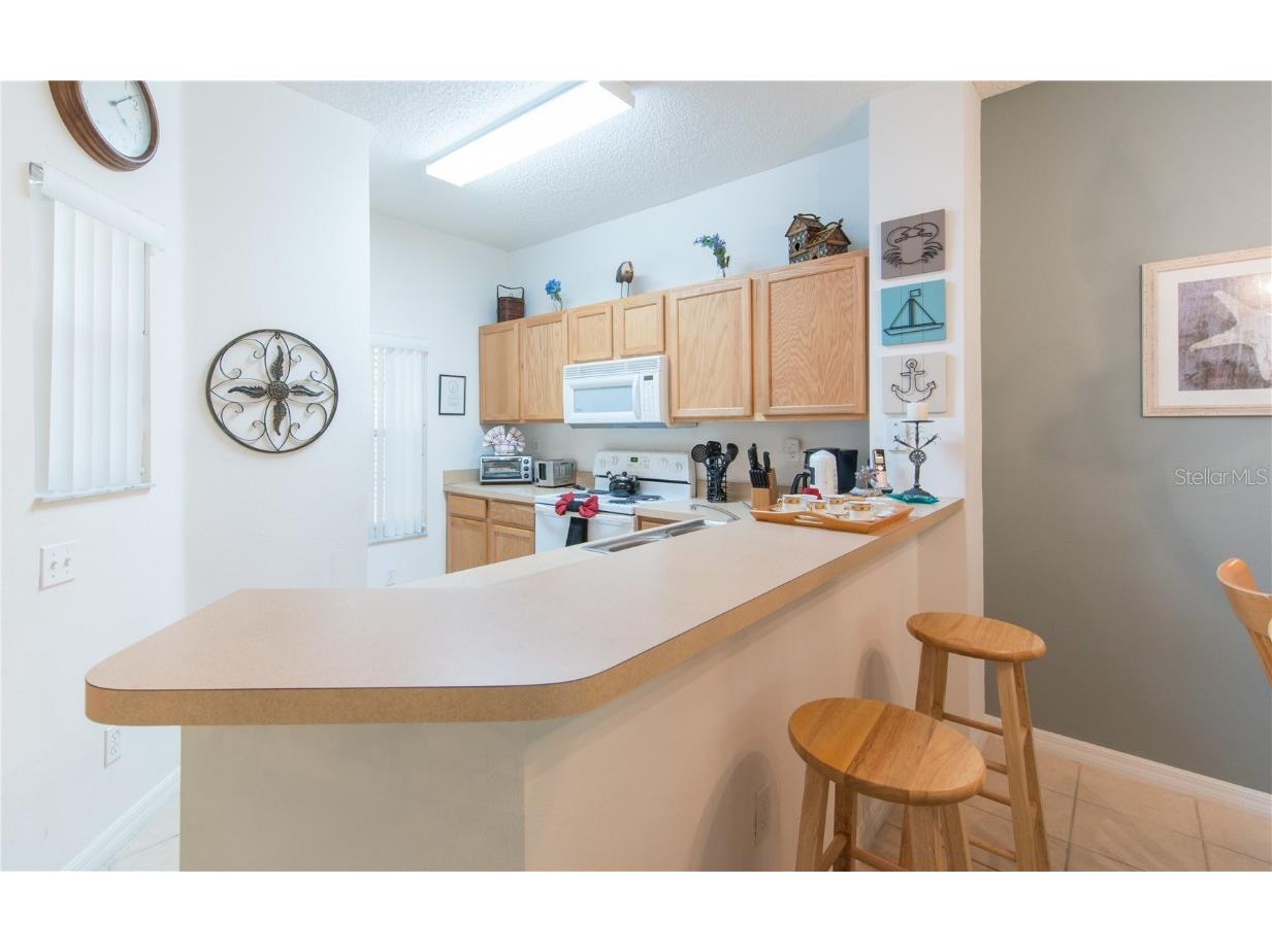 8407 Crystal Cove Cv Kissimmee FL 34747 S5118490 image8