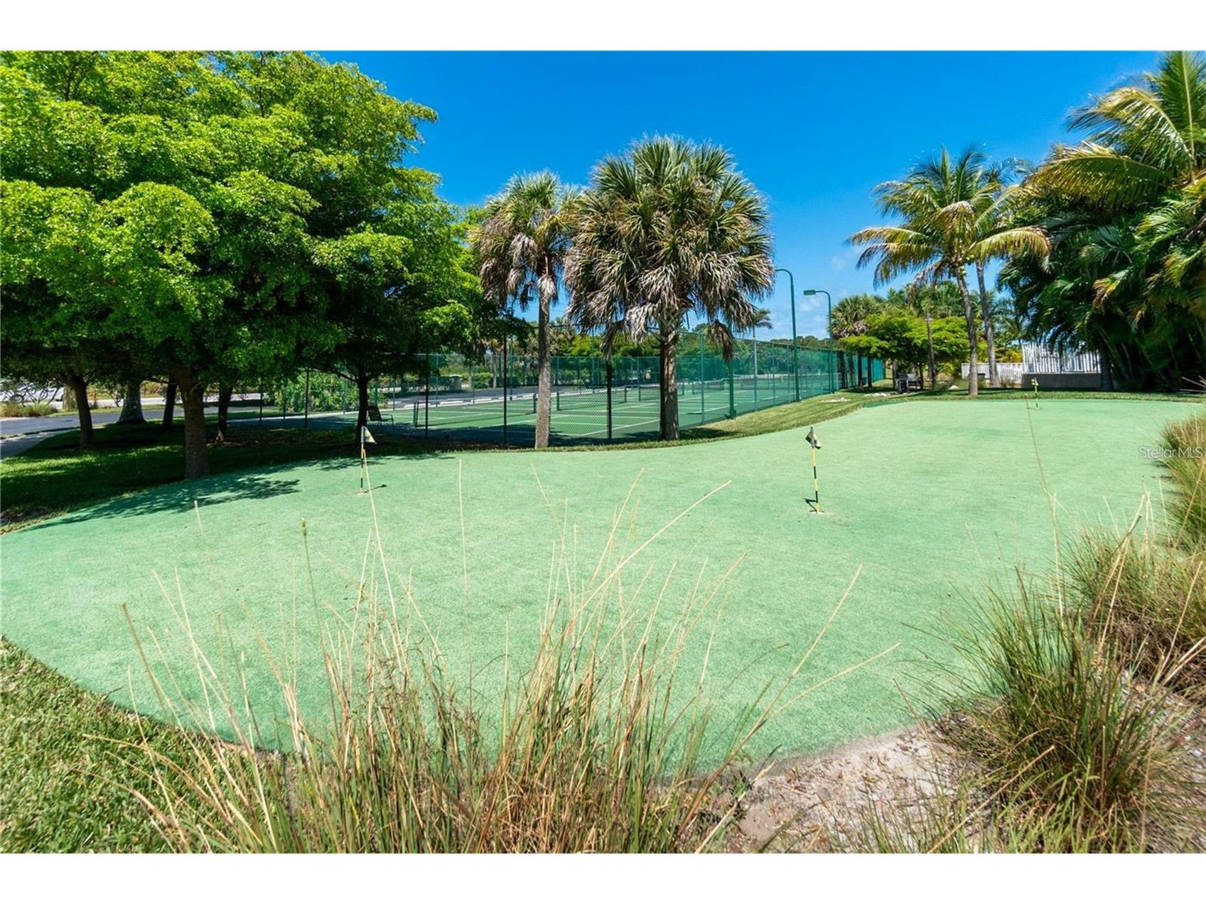 8407 Placida Road #202 Placida FL 33946 A4685394 image54