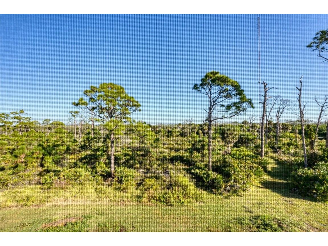 8407 Placida Road #307 Placida FL 33946 D6144806 image30