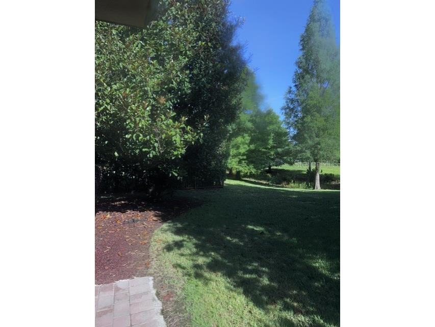 8407 Prestbury Drive Orlando FL 32832 O6404376 image28