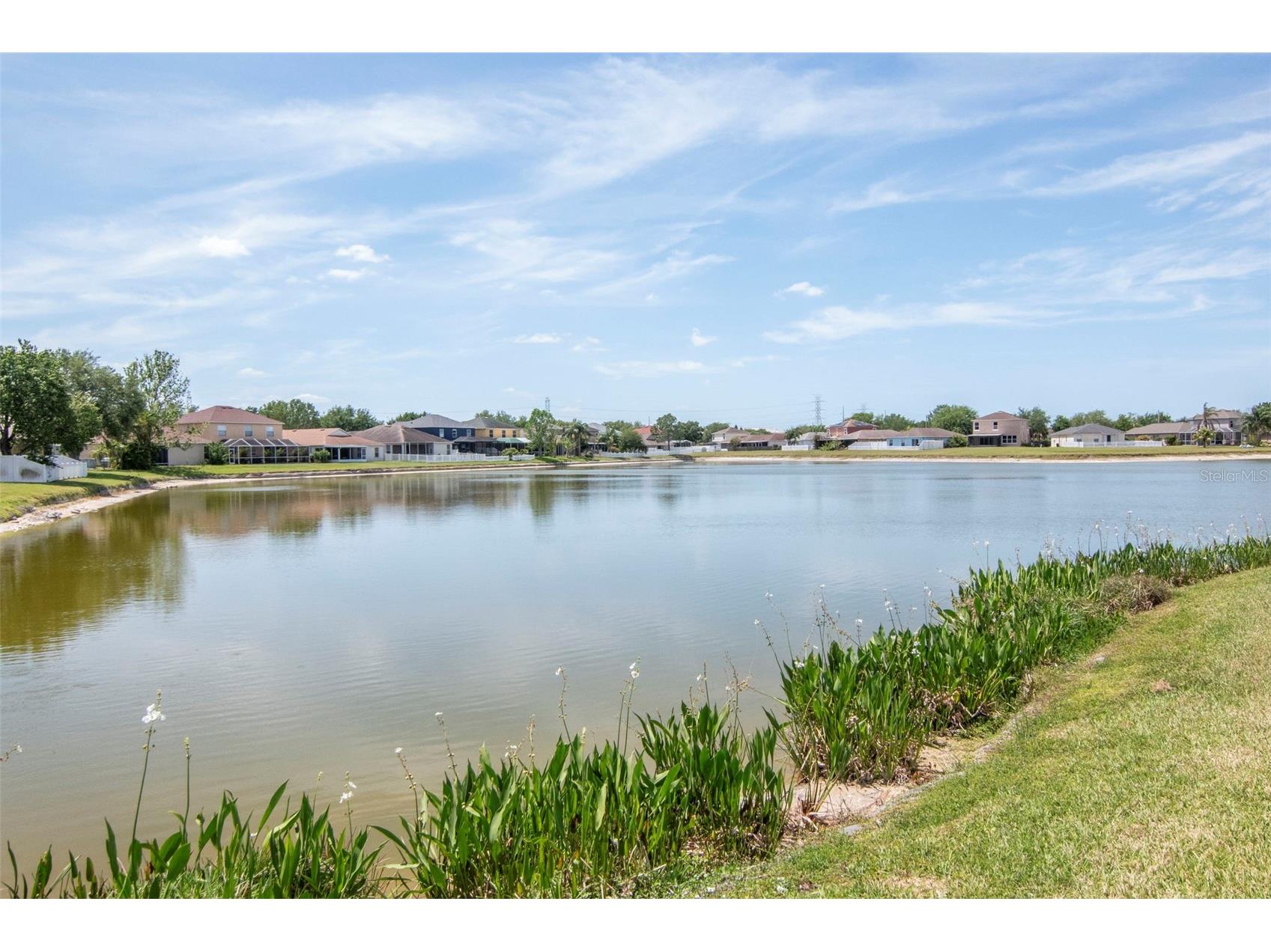 8408 Canterbury Lake Boulevard Tampa FL 33619 O6398946 image6