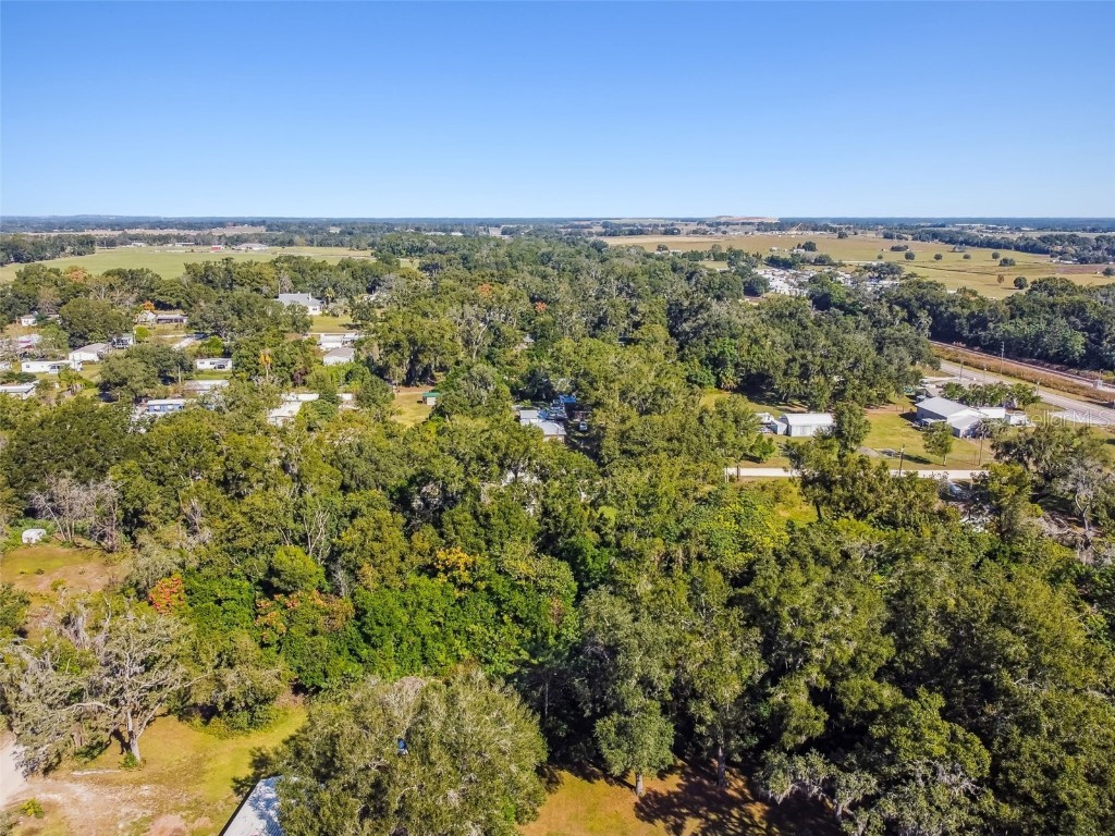 8408 Richland School Road Zephyrhills FL 33540 TB8447159 image15