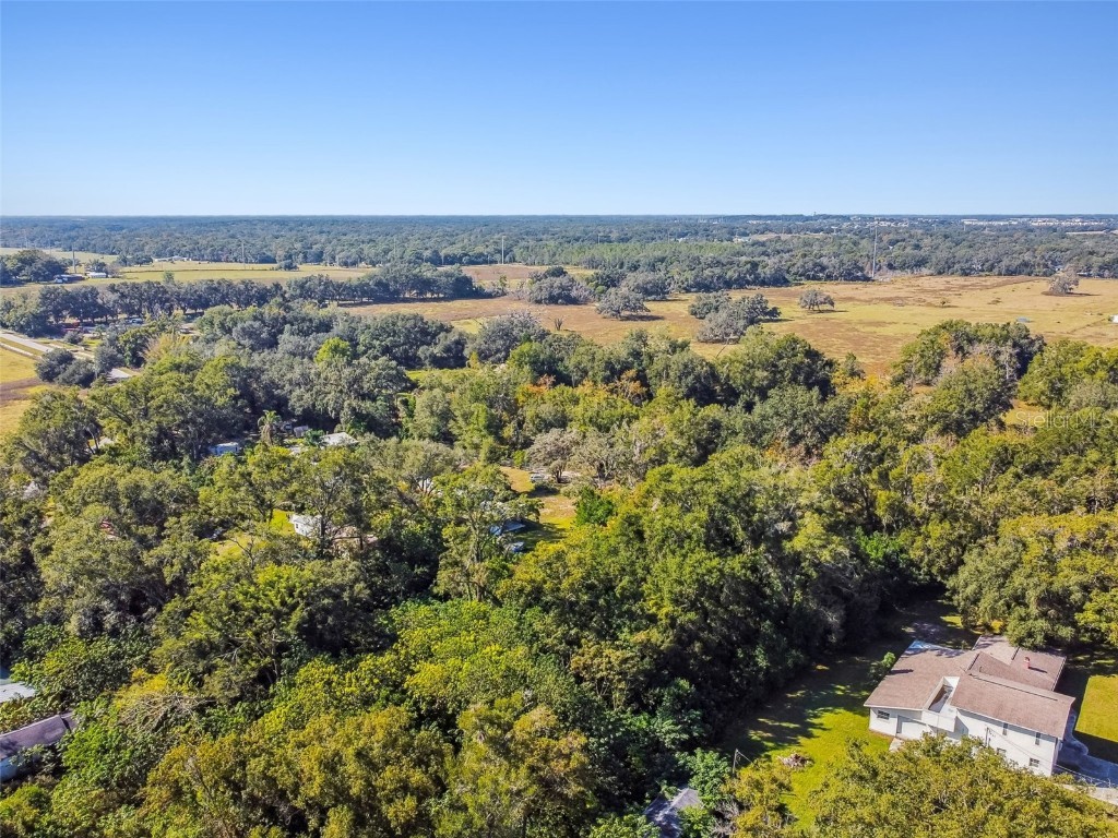 8408 Richland School Road Zephyrhills FL 33540 TB8447159 image18