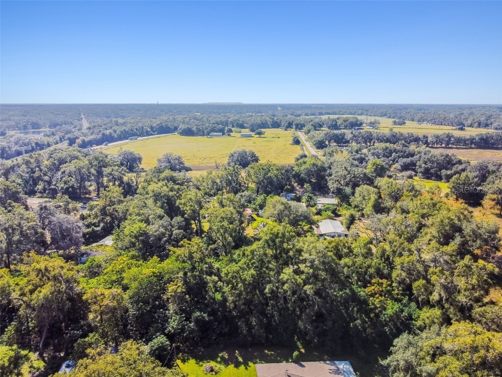 8408 Richland School Road Zephyrhills FL 33540 TB8447159 image19