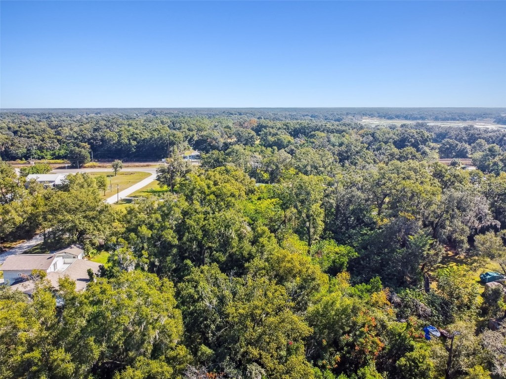 8408 Richland School Road Zephyrhills FL 33540 TB8447159 image2