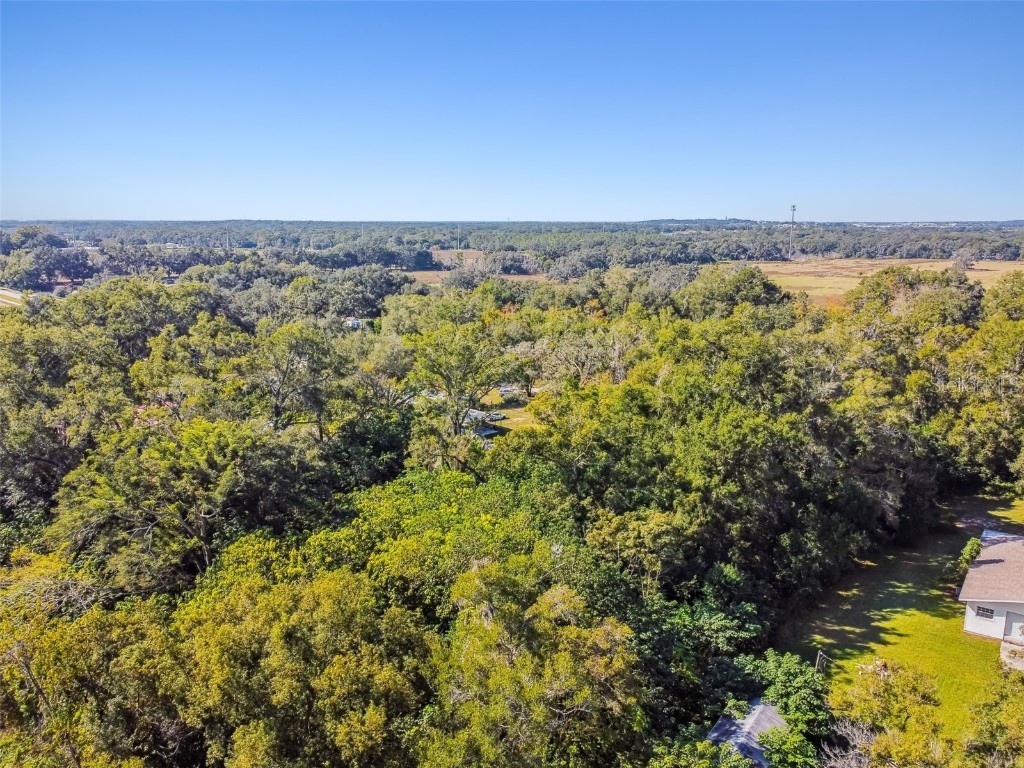 8408 Richland School Road Zephyrhills FL 33540 TB8447159 image22