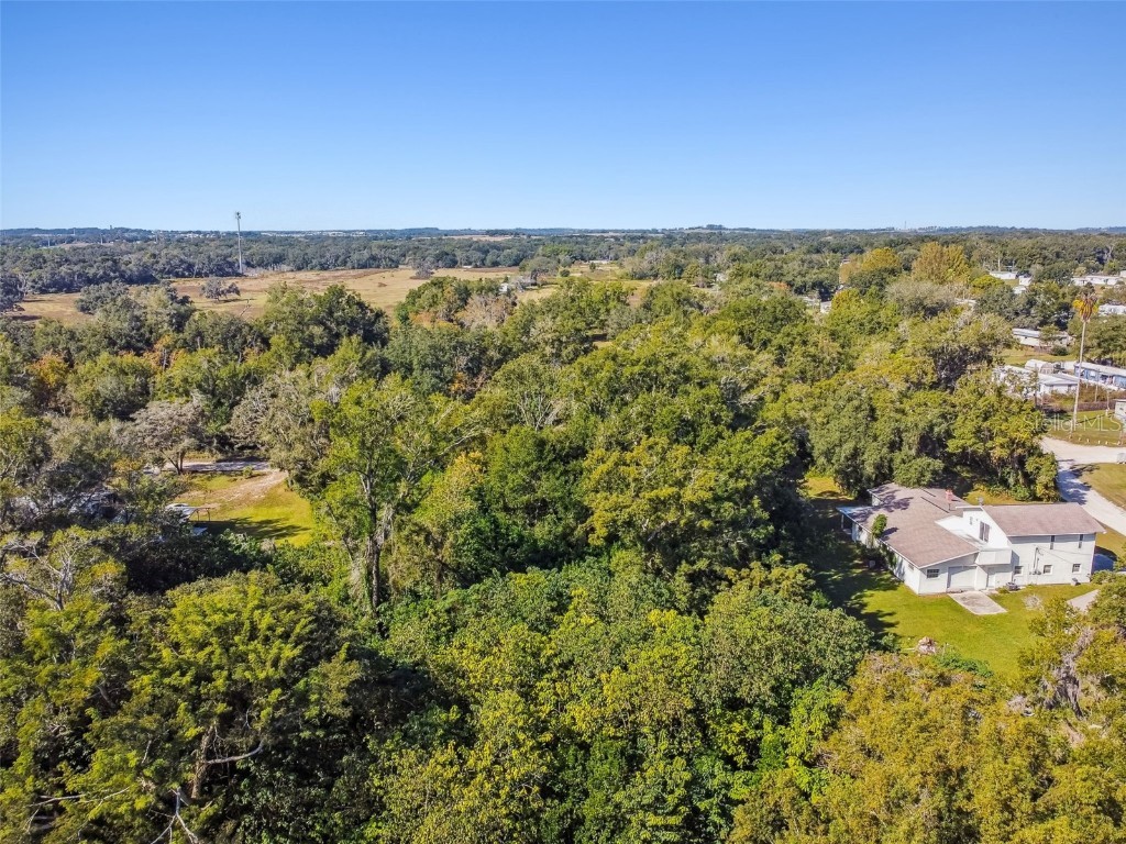 8408 Richland School Road Zephyrhills FL 33540 TB8447159 image23