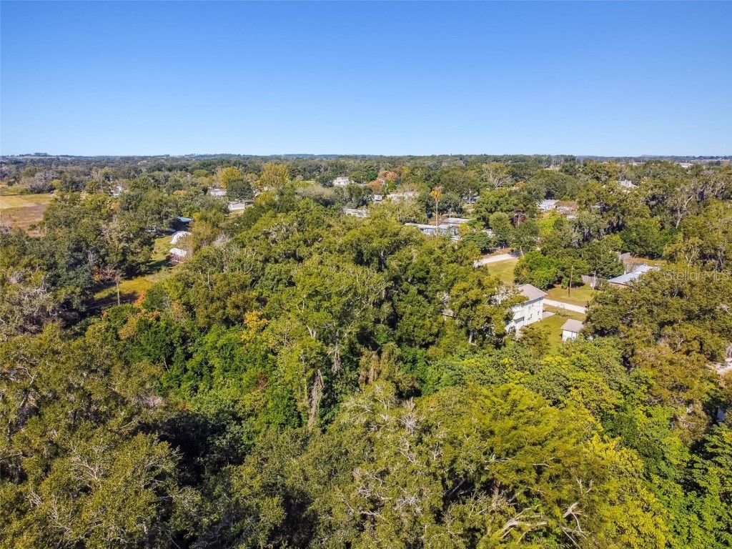 8408 Richland School Road Zephyrhills FL 33540 TB8447159 image24