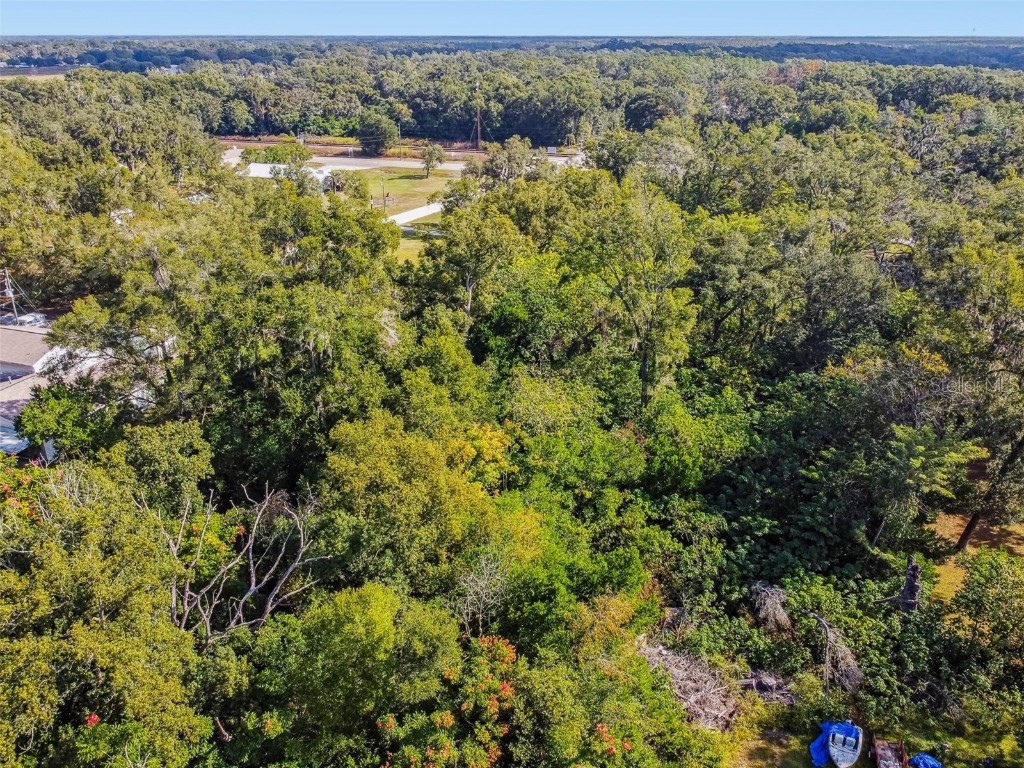 8408 Richland School Road Zephyrhills FL 33540 TB8447159 image26