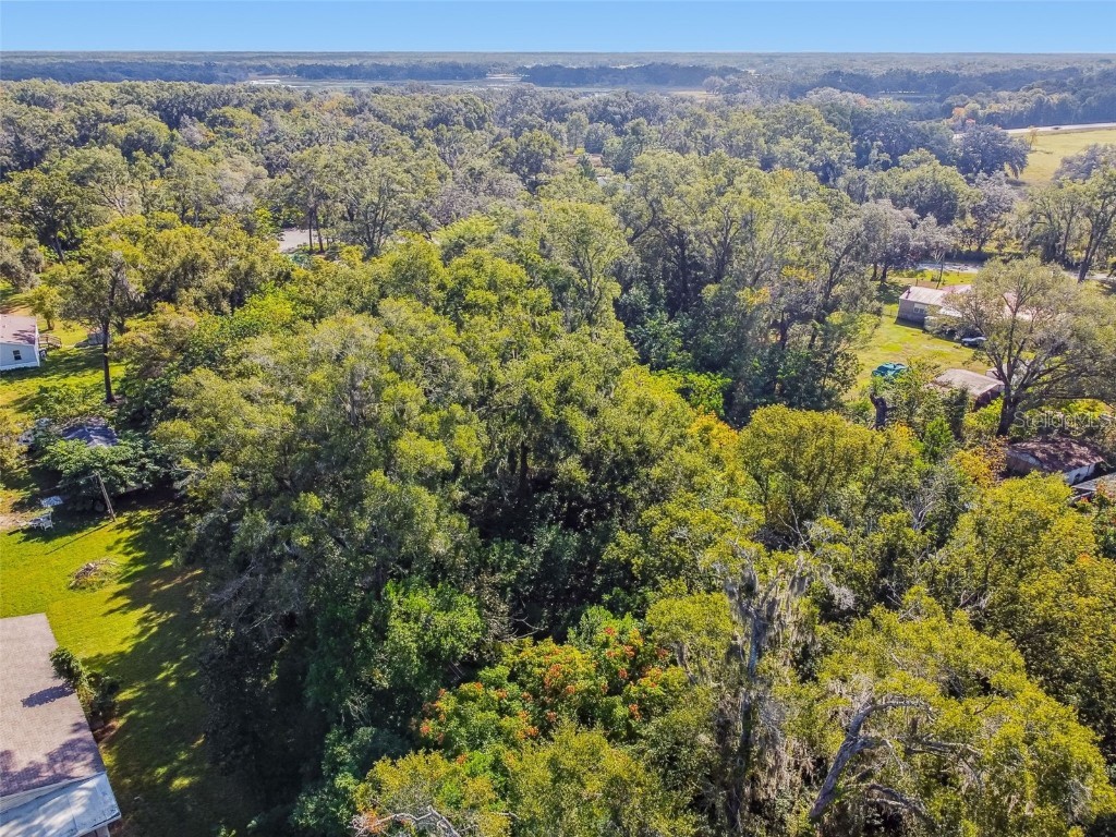 8408 Richland School Road Zephyrhills FL 33540 TB8447159 image27