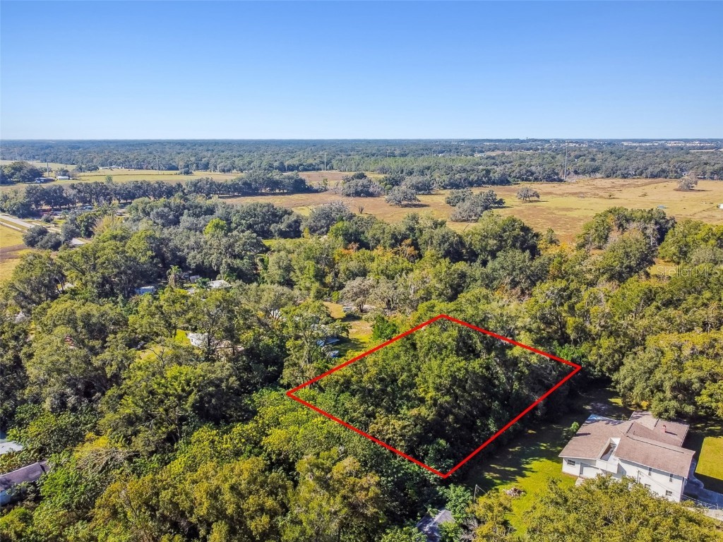 8408 Richland School Road Zephyrhills FL 33540 TB8447159 image29