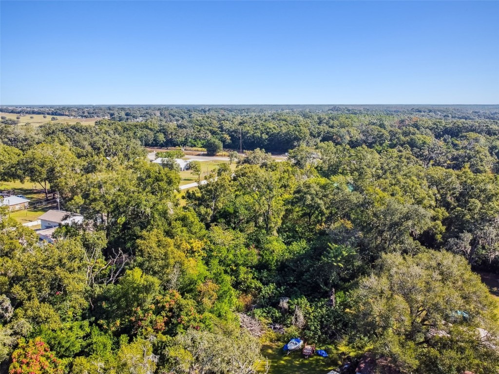 8408 Richland School Road Zephyrhills FL 33540 TB8447159 image3