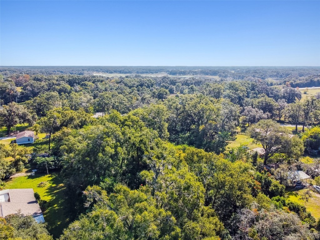 8408 Richland School Road Zephyrhills FL 33540 TB8447159 image4