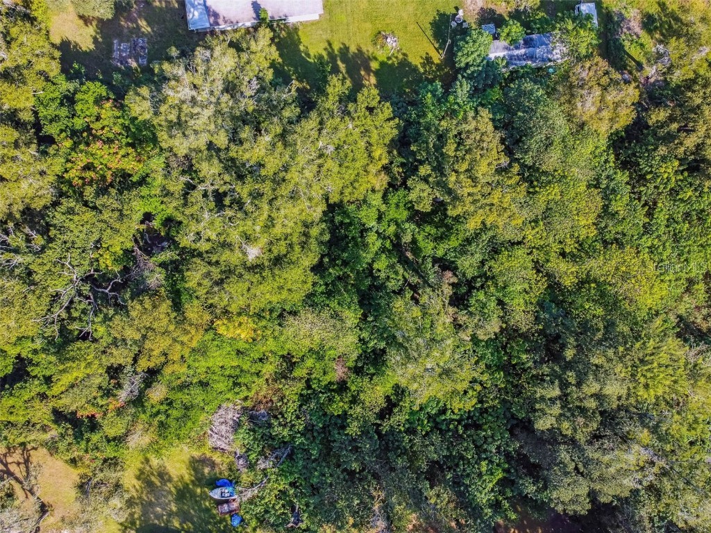 8408 Richland School Road Zephyrhills FL 33540 TB8447159 image5