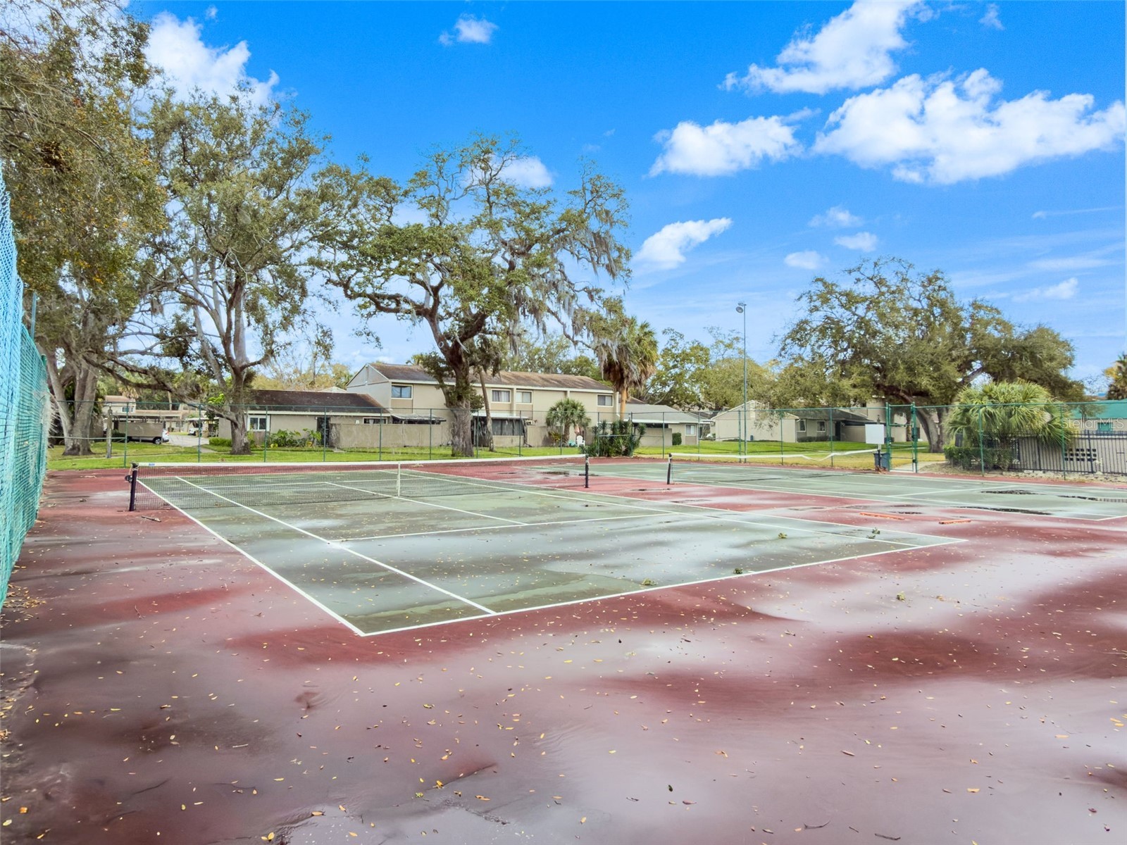 8408 Terrace Meadows Court #NONE Temple Terrace FL 33637 TB8471204 image26