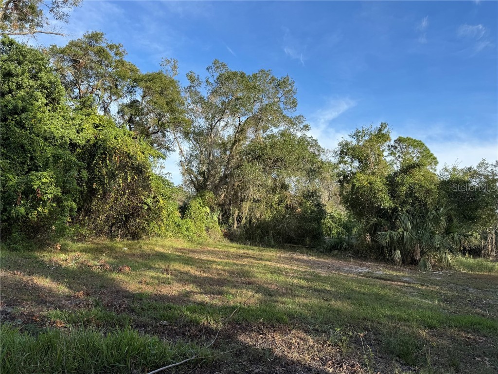 8409 Aaron Avenue Tampa FL 33635 TB8322910 image1