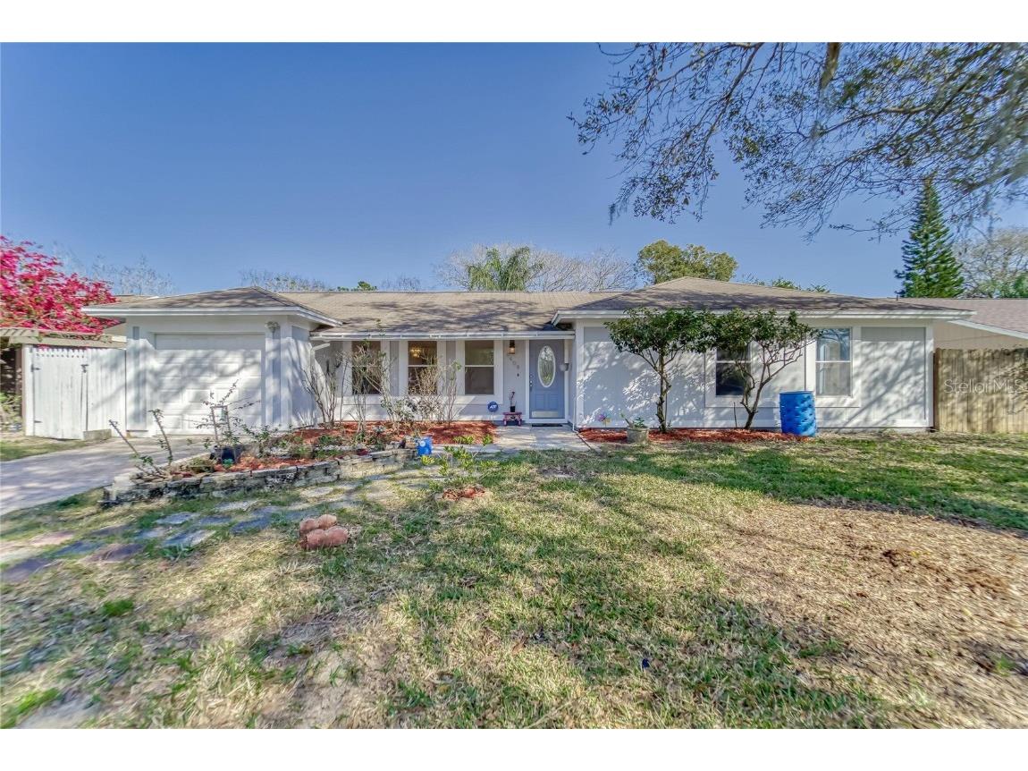 8409 Caladesi Island Drive Temple Terrace FL 33637 T3427803 image1