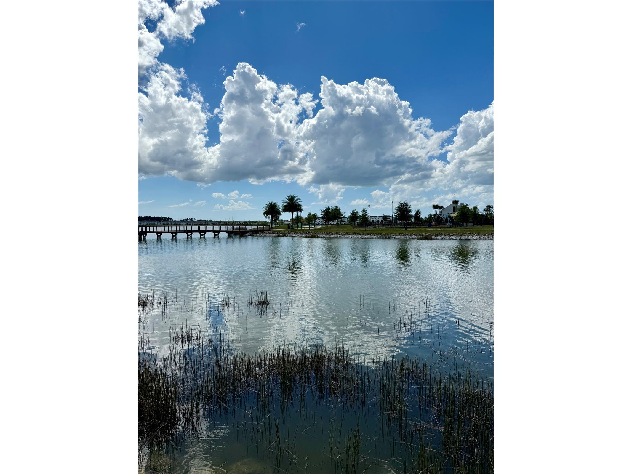 8409 Miramar Way #102 Lakewood Ranch FL 34202 A4688134 image66