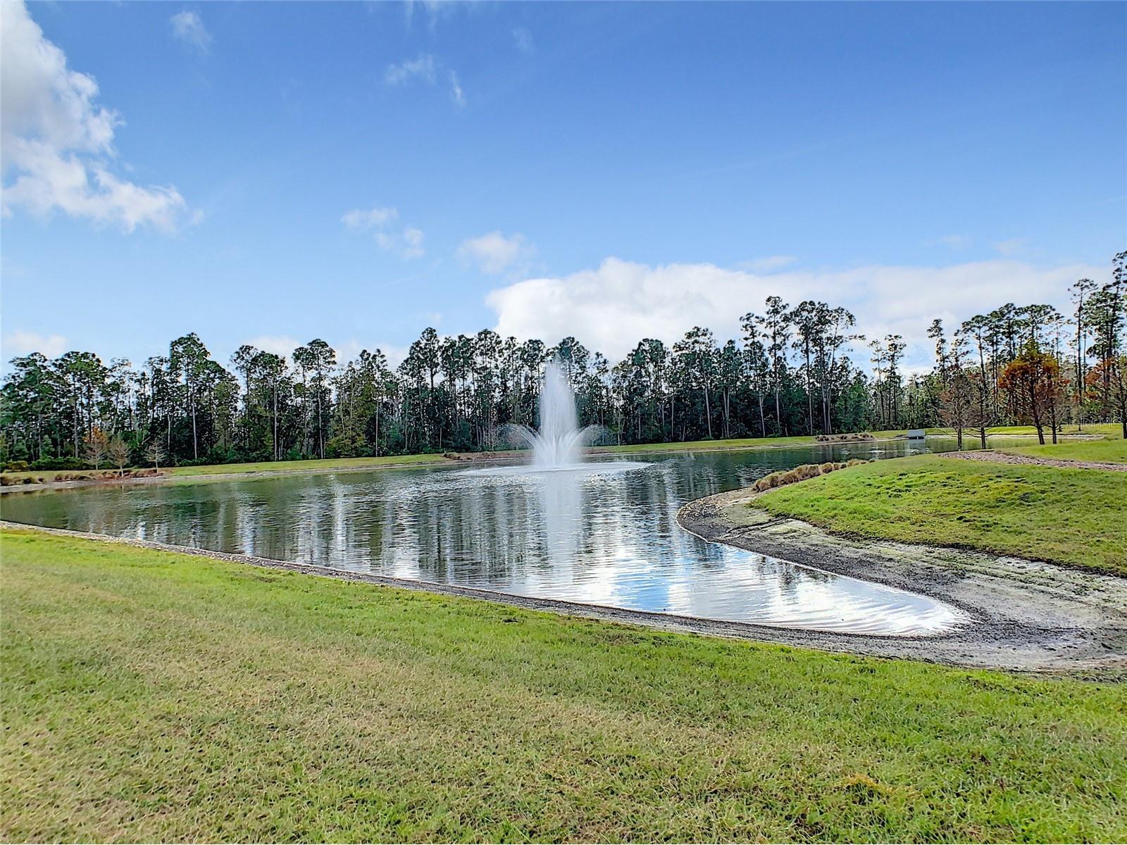 8409 Vivaro Isle Way Windermere FL 34786 G5112154 image91