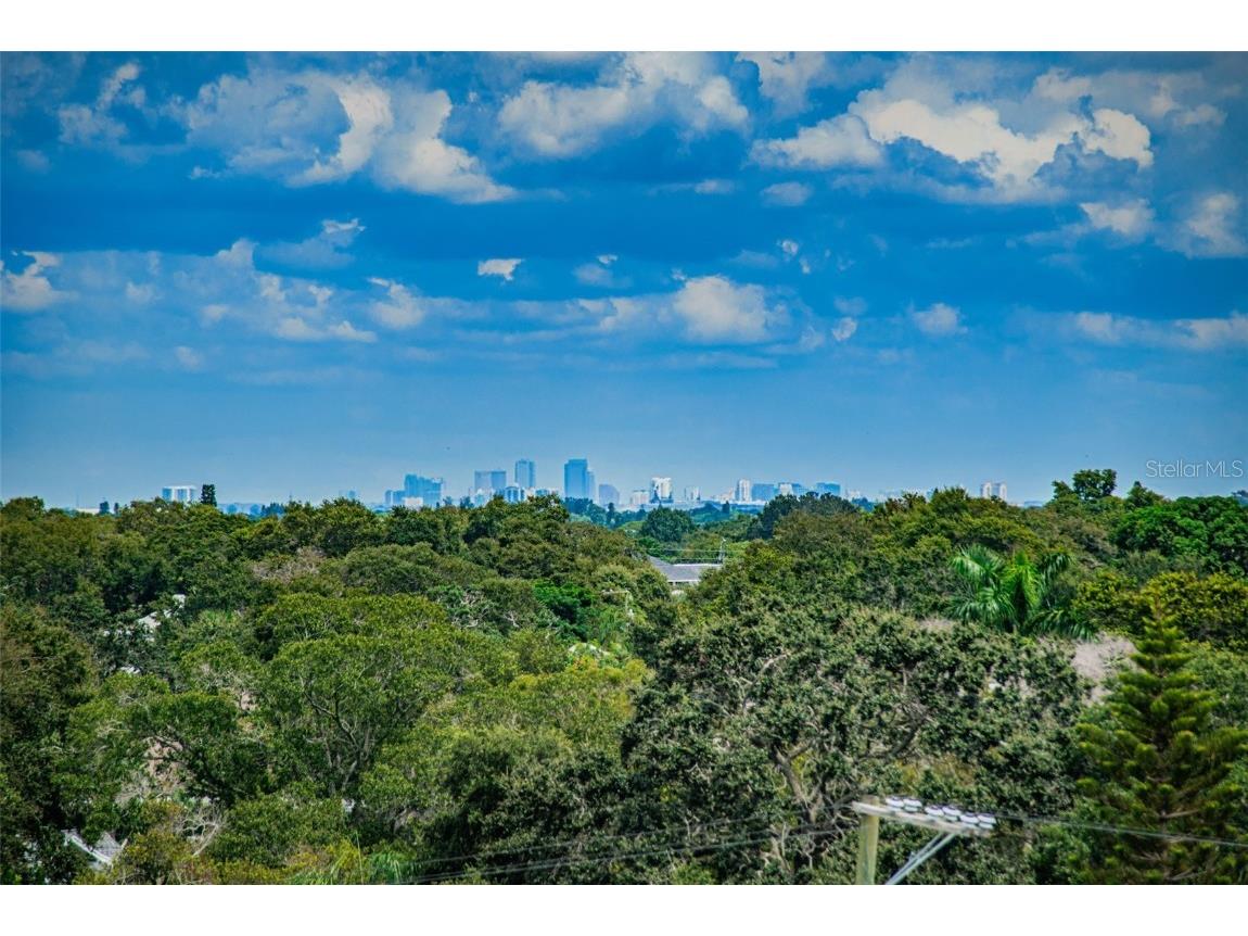 841 4th Avenue N #21 Saint Petersburg FL 33701 TB8395653 image59