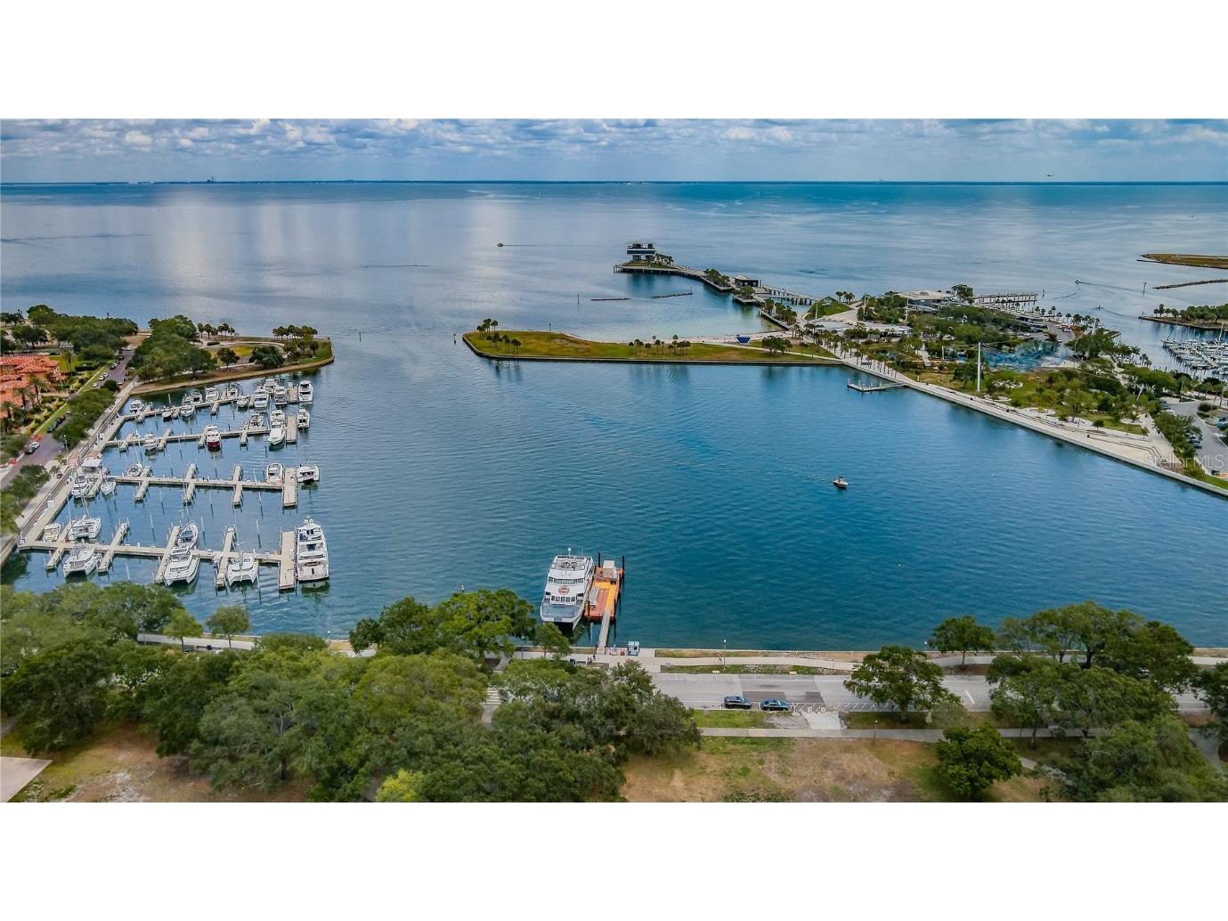 841 4th Avenue N #21 Saint Petersburg FL 33701 TB8395653 image69