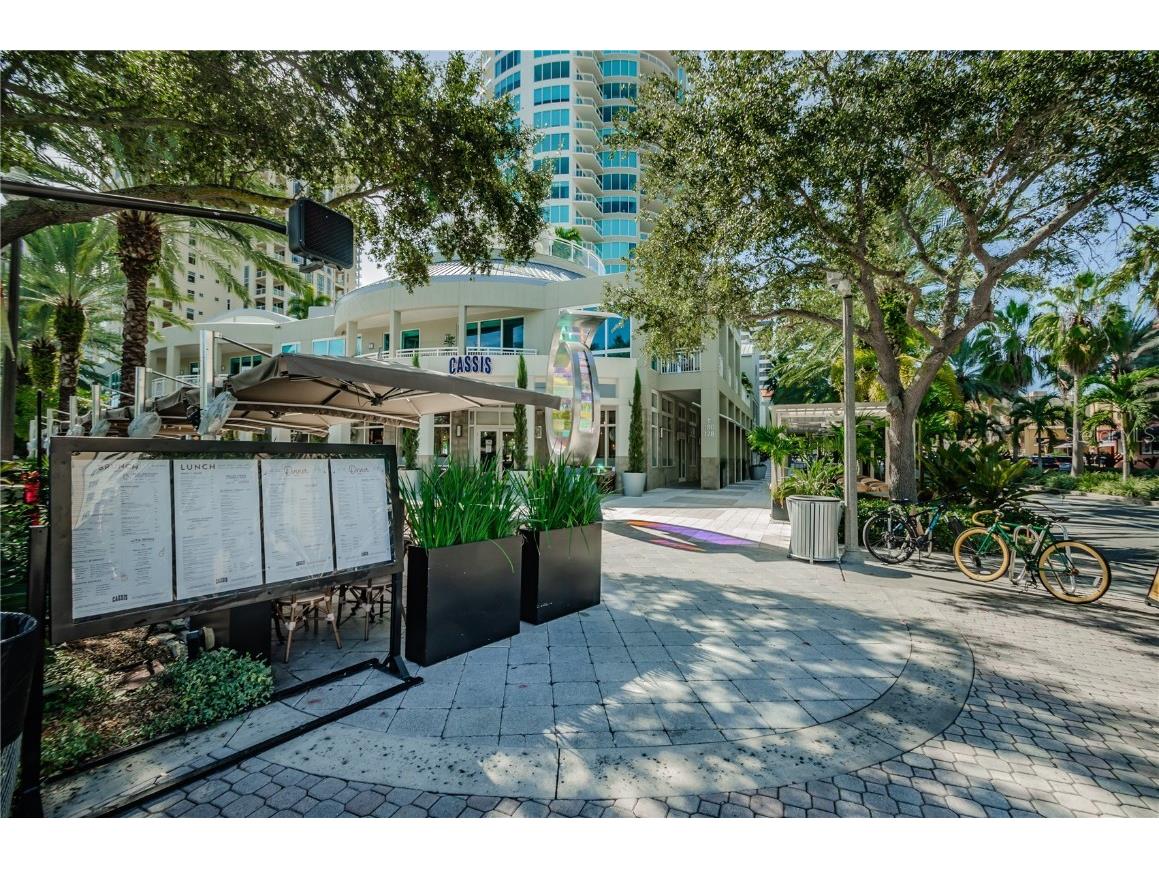 841 4th Avenue N #21 Saint Petersburg FL 33701 TB8395653 image72