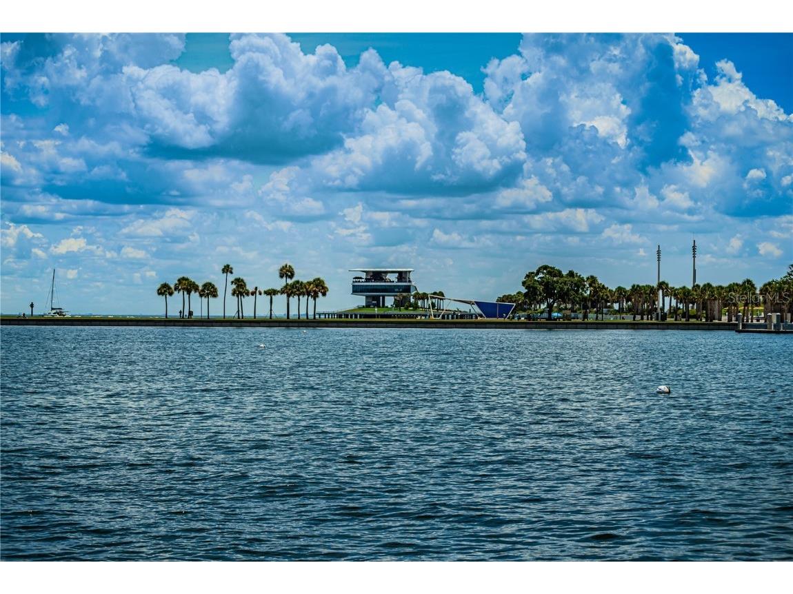 841 4th Avenue N #21 Saint Petersburg FL 33701 TB8395653 image79