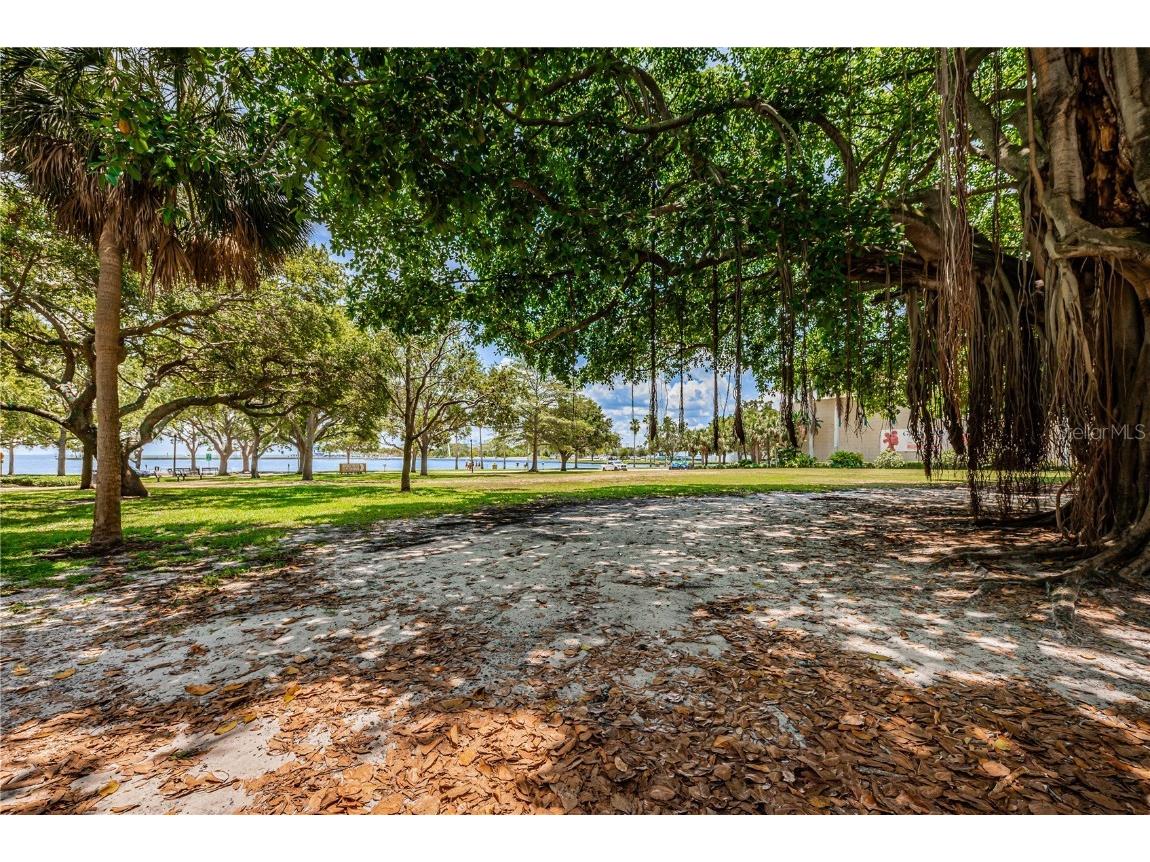 841 4th Avenue N #21 Saint Petersburg FL 33701 TB8395653 image83