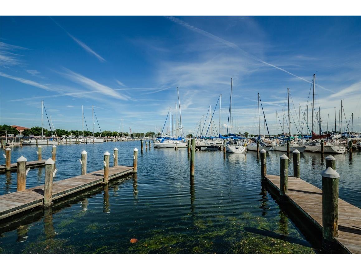 841 4th Avenue N #21 Saint Petersburg FL 33701 TB8395653 image86