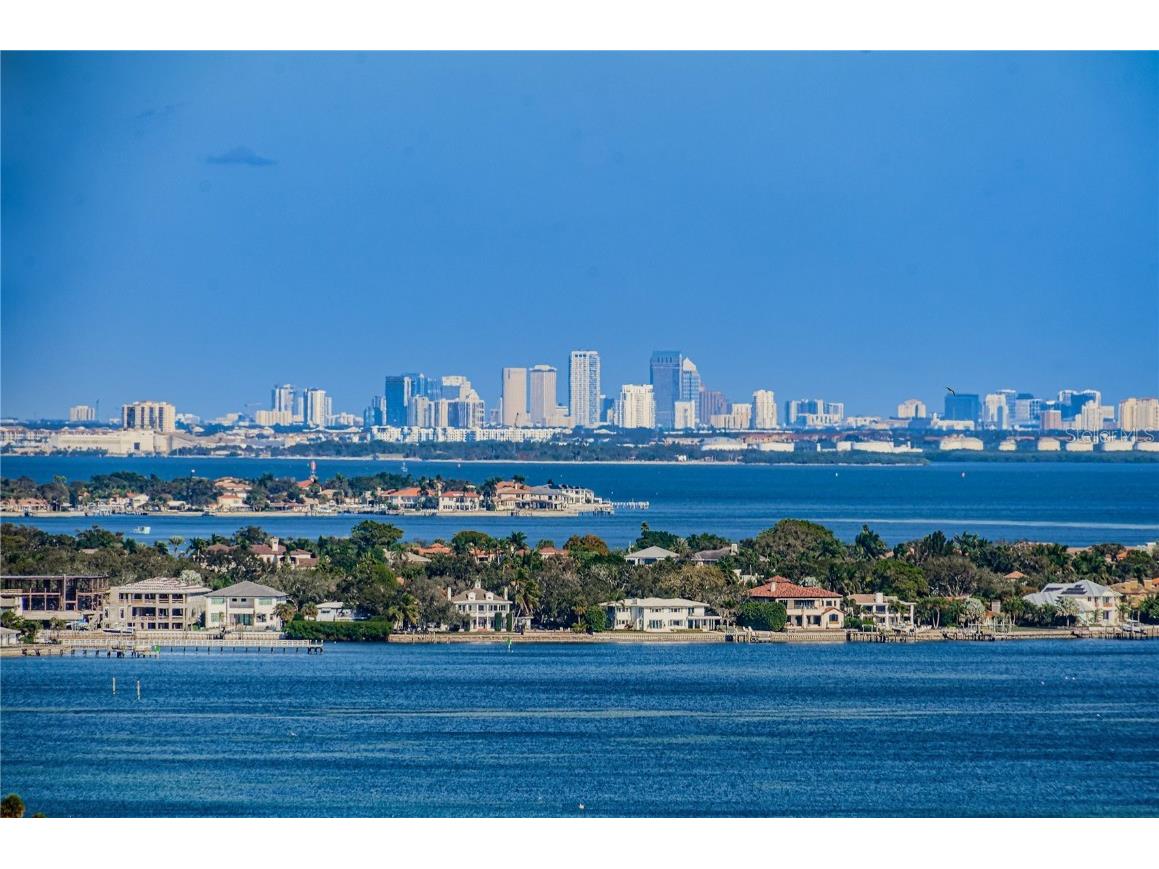 841 4th Avenue N #21 Saint Petersburg FL 33701 TB8395653 image89