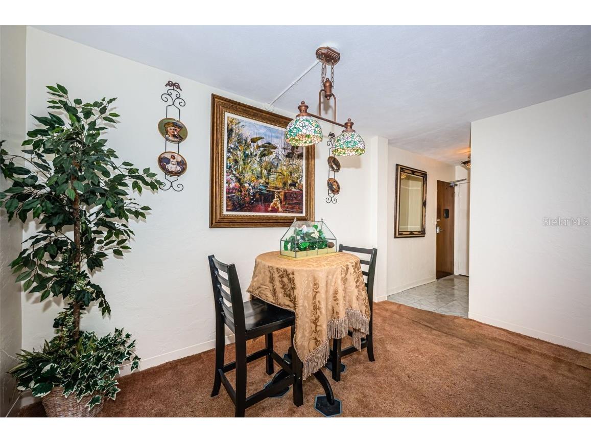 841 4th Avenue N #21 Saint Petersburg FL 33701 TB8395653 image9