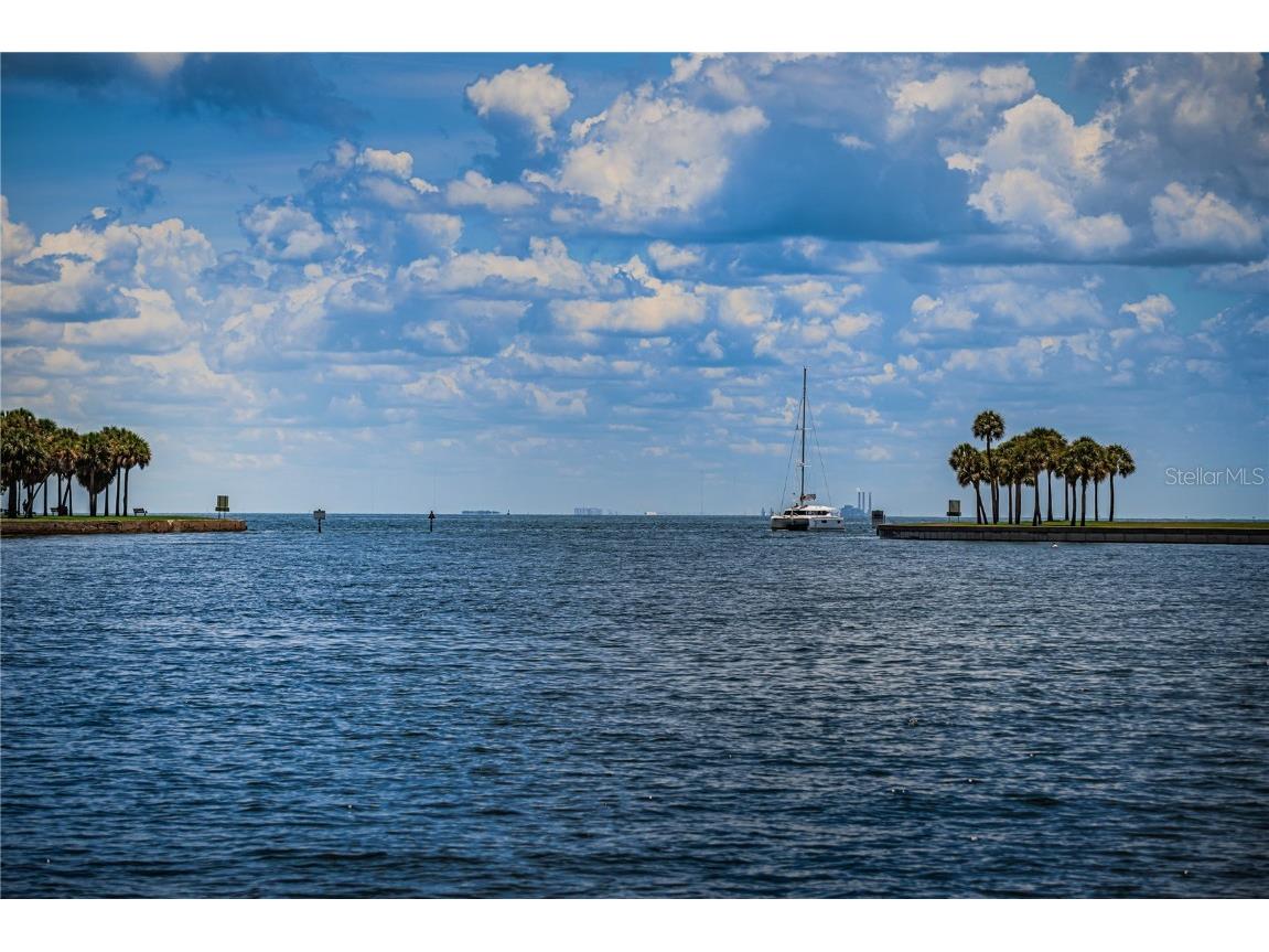 841 4th Avenue N #21 Saint Petersburg FL 33701 TB8395653 image93