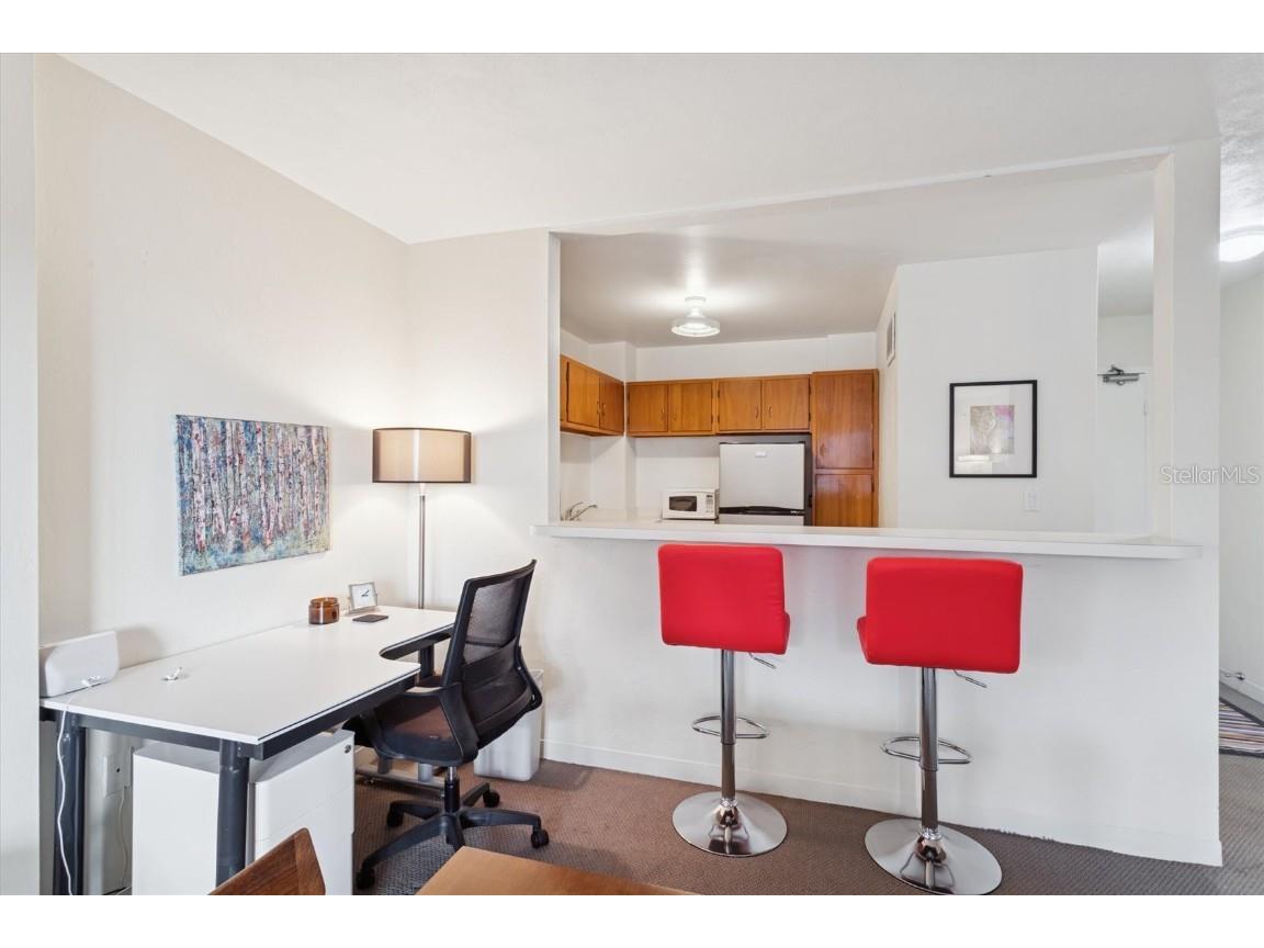 841 4th Avenue N #32 Saint Petersburg FL 33701 TB8450640 image10