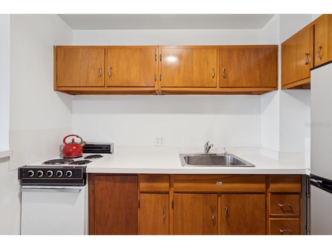 841 4th Avenue N #32 Saint Petersburg FL 33701 TB8450640 image12