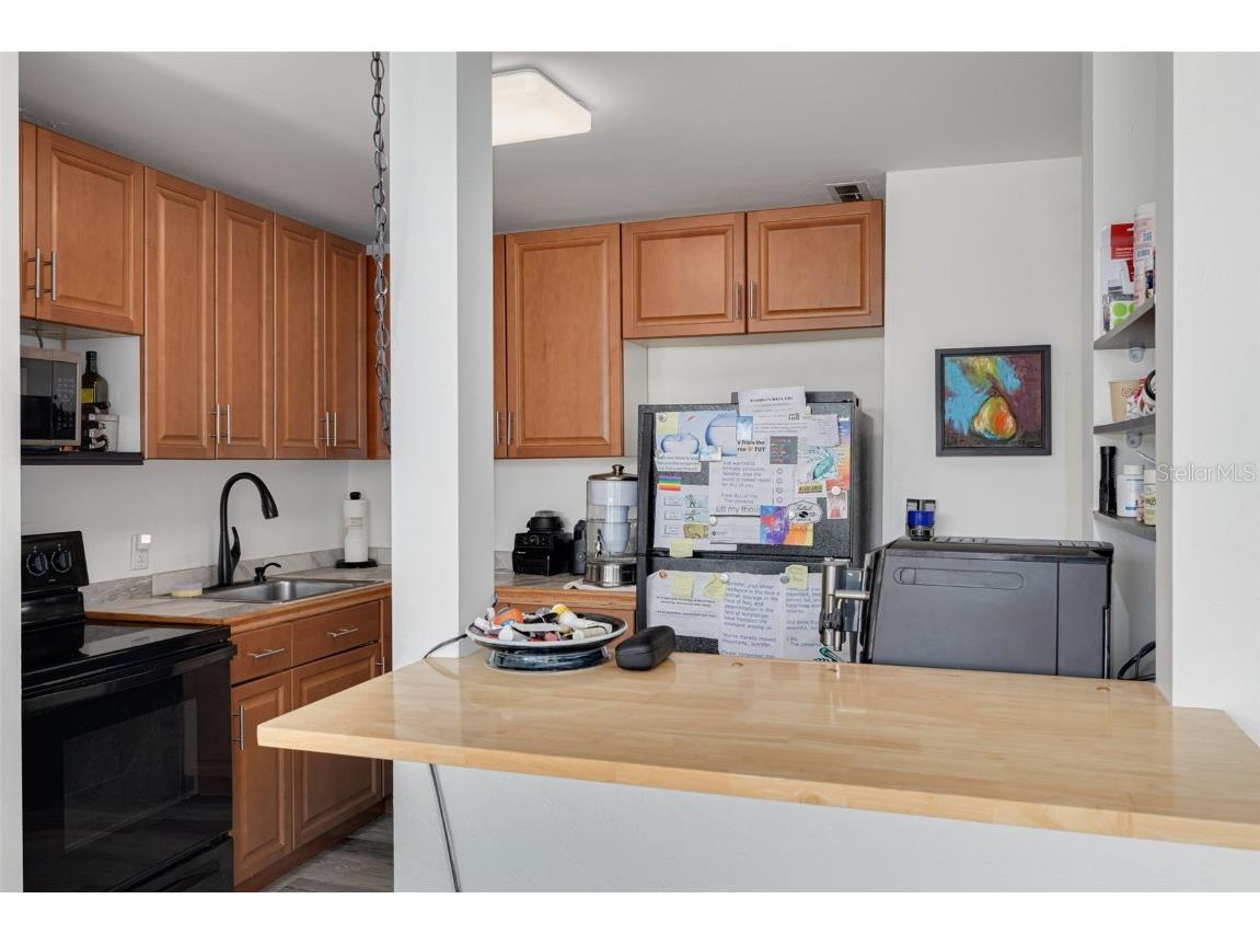 841 4th Avenue N #38 Saint Petersburg FL 33701 TB8461874 image6