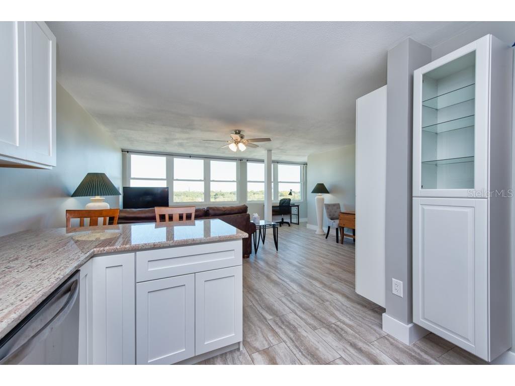 841 4th Avenue N #64 Saint Petersburg FL 33701 TB8467574 image14