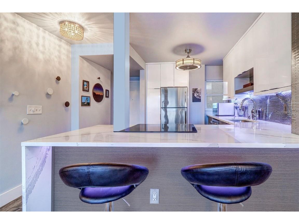 841 4th Avenue N #67 Saint Petersburg FL 33701 TB8453838 image13