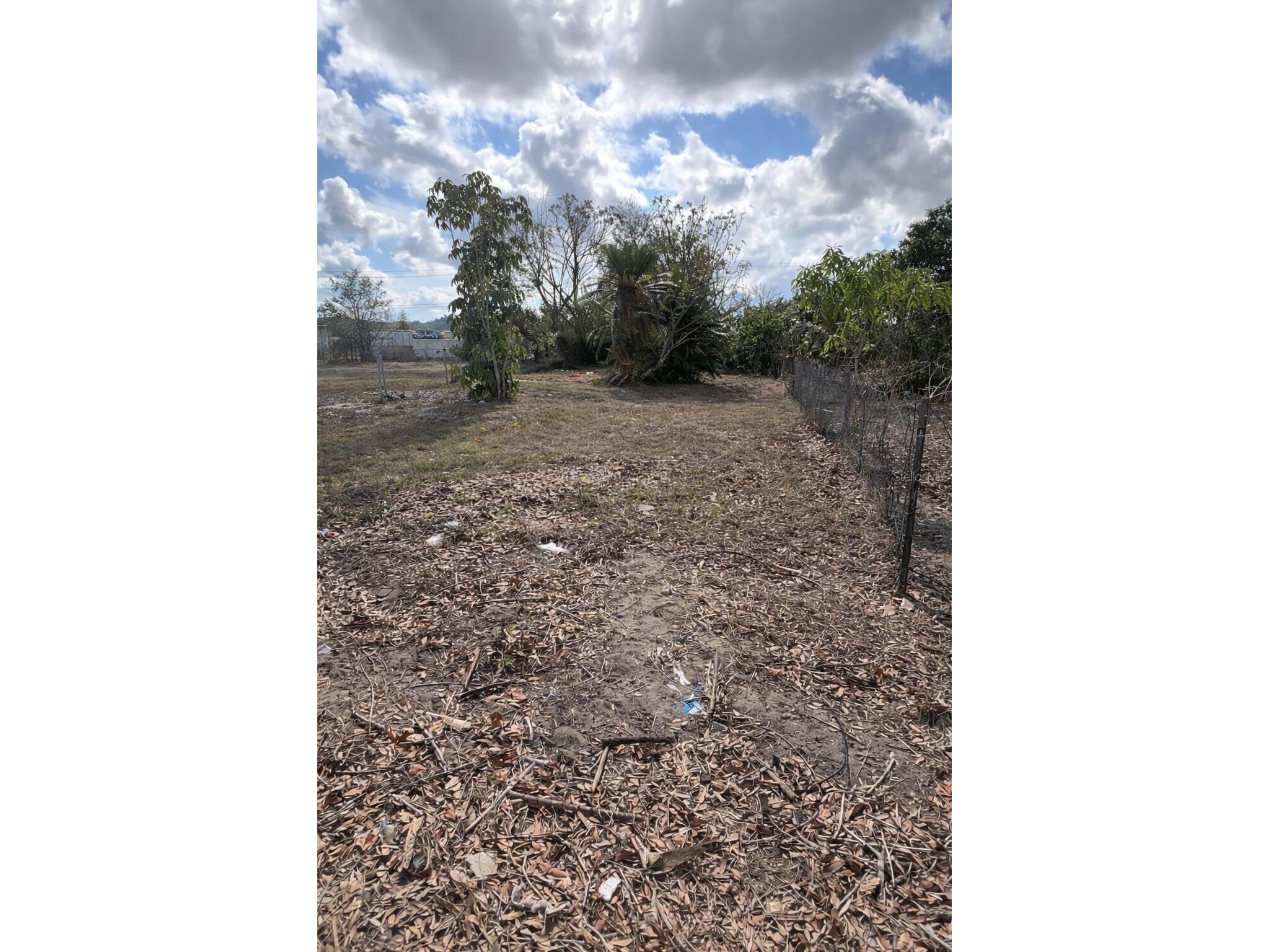 841 Booker Avenue Sebring FL 33870 O6381496 image1