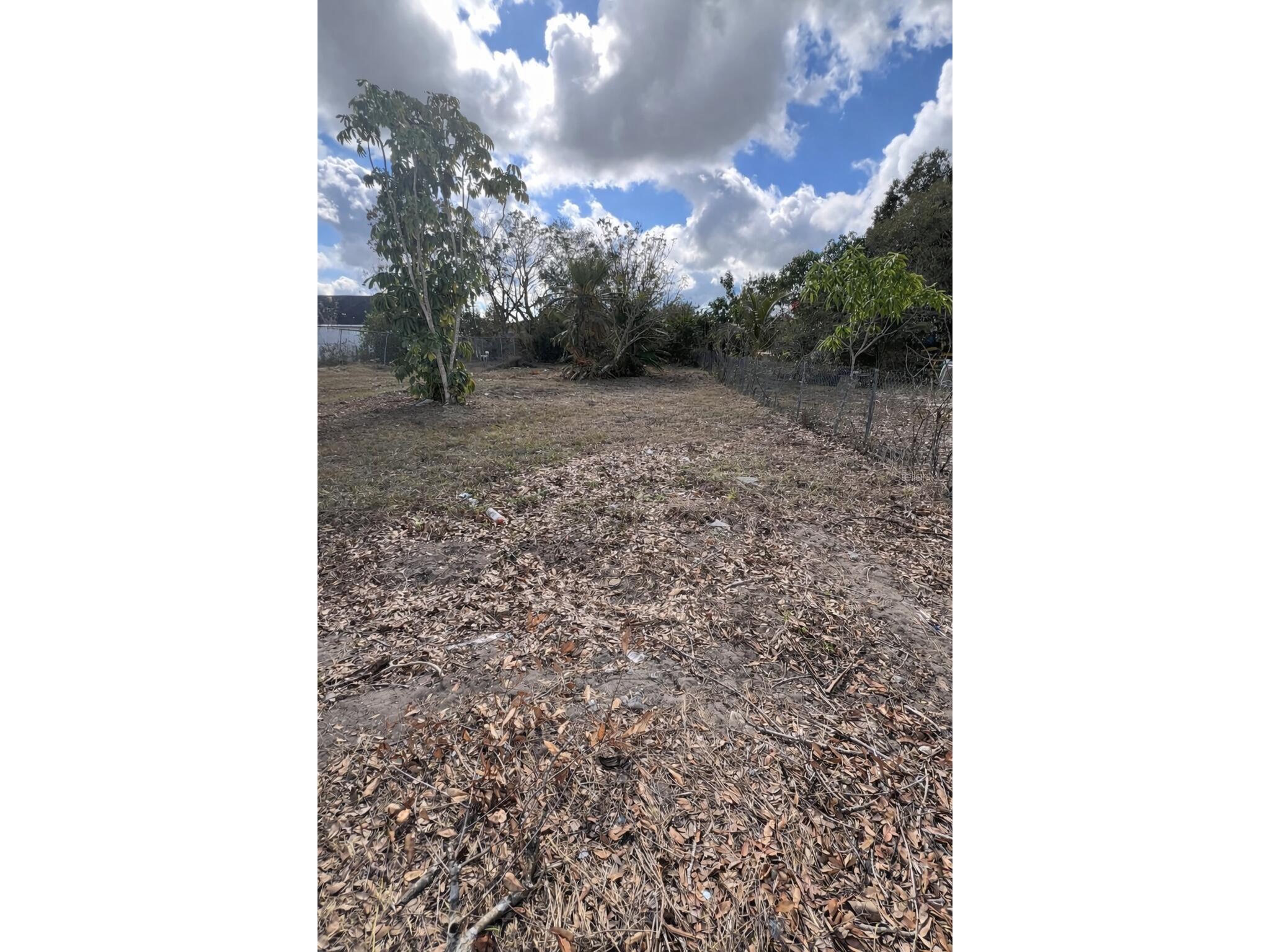 841 Booker Avenue Sebring FL 33870 O6381496 image3